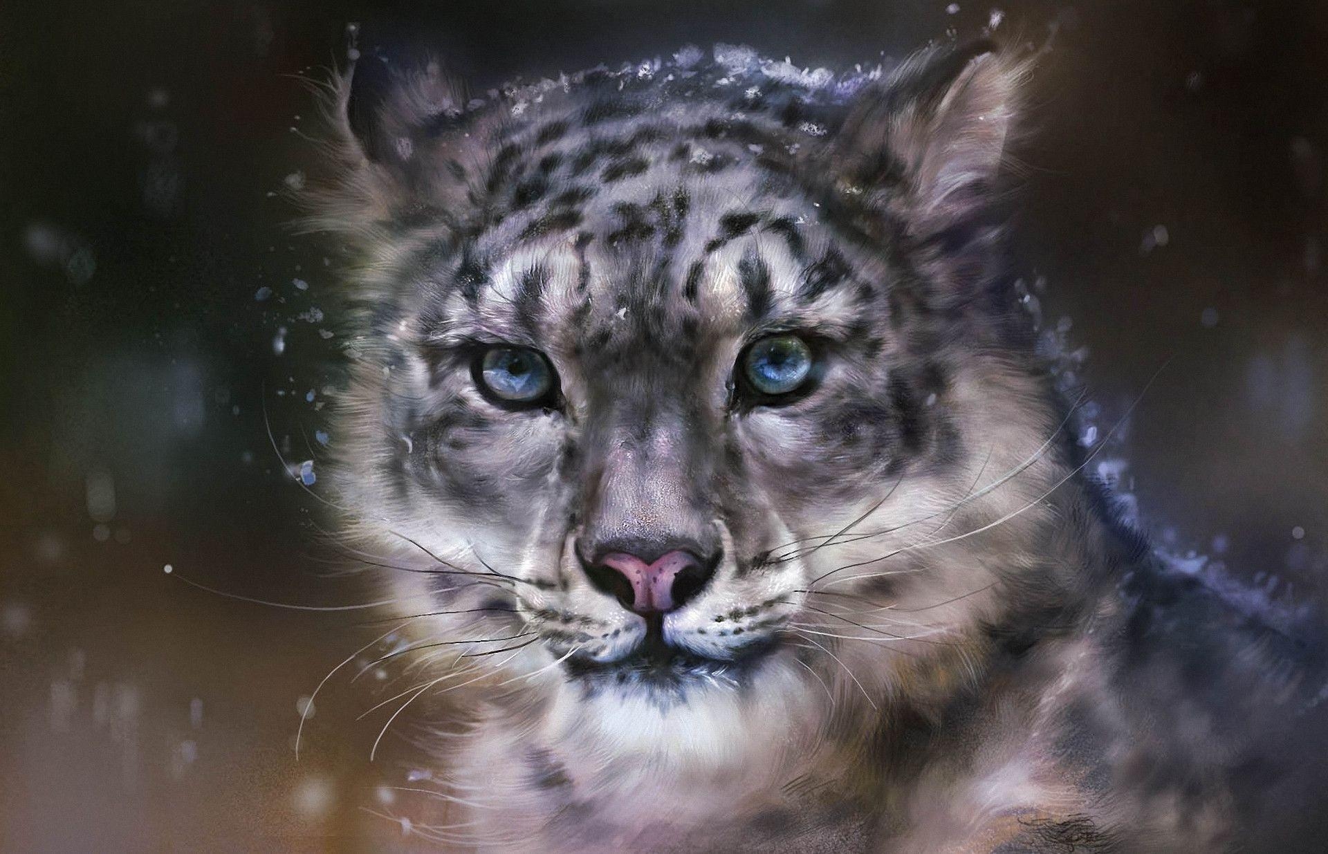 1920x1240 Download wallpaper Art, leopard, snow, wildcat free desktop, Desktop