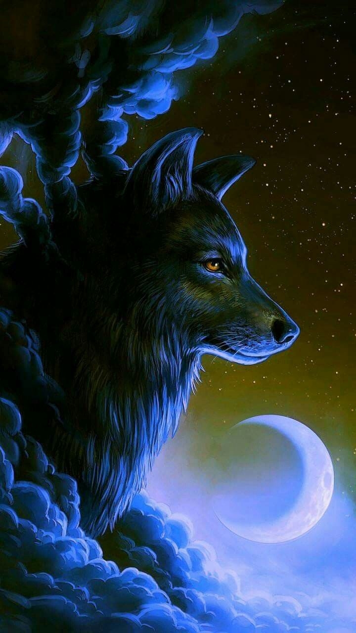 720x1280 Epic Wolf Wallpaper, Phone