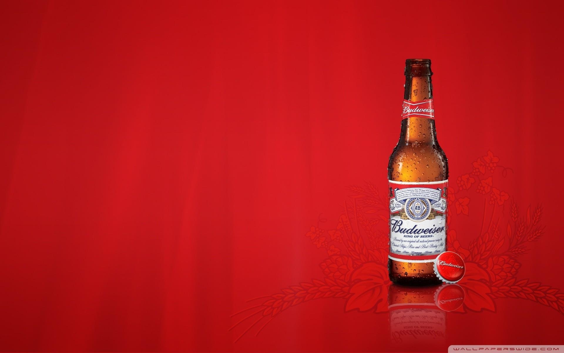 1920x1200 Busch Beer Wallpaper, Desktop