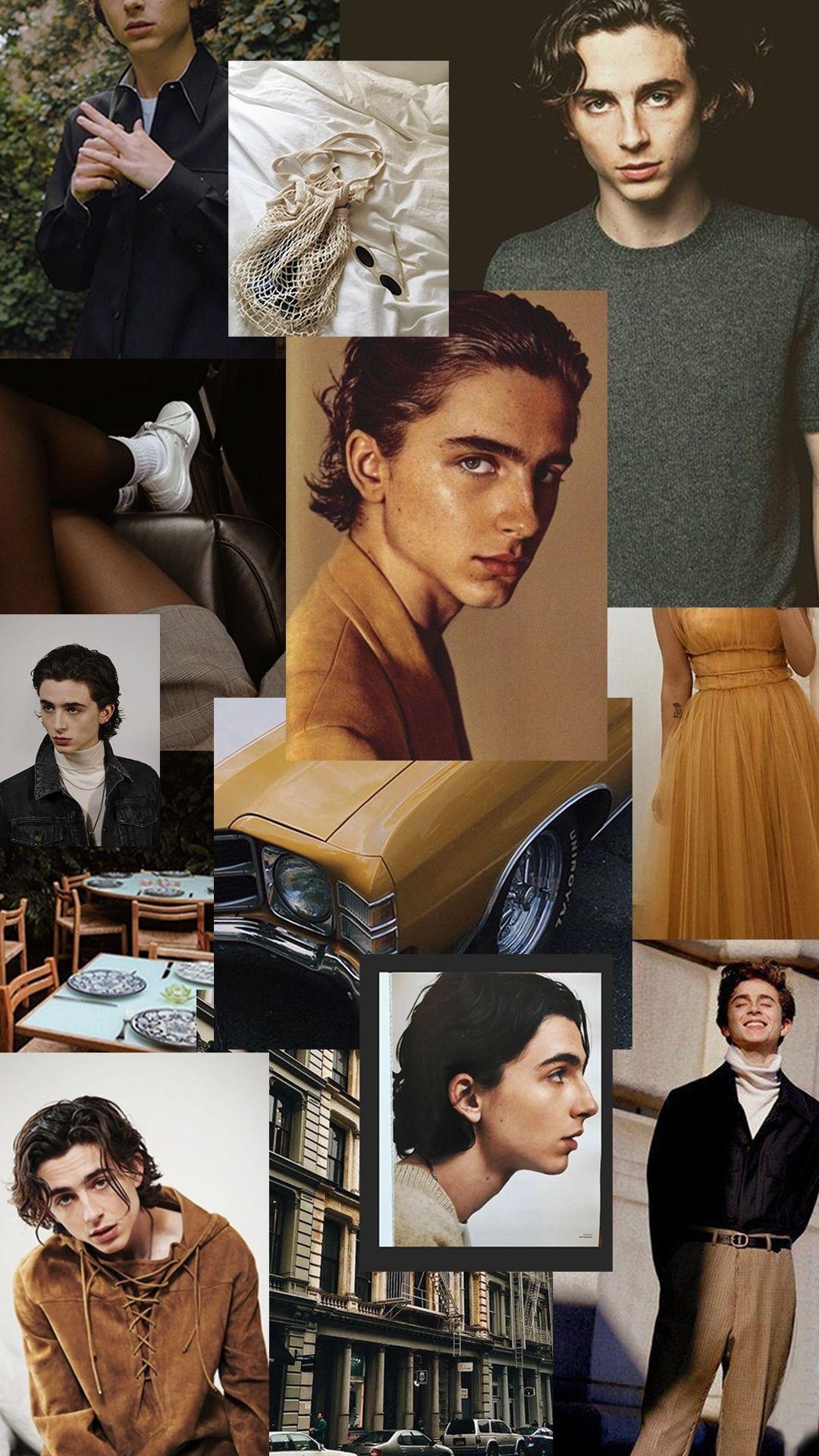 1080x1920 Timothée Chalamet Phone Background. Timothee chalamet, Beautiful boys, Cute guys, Phone