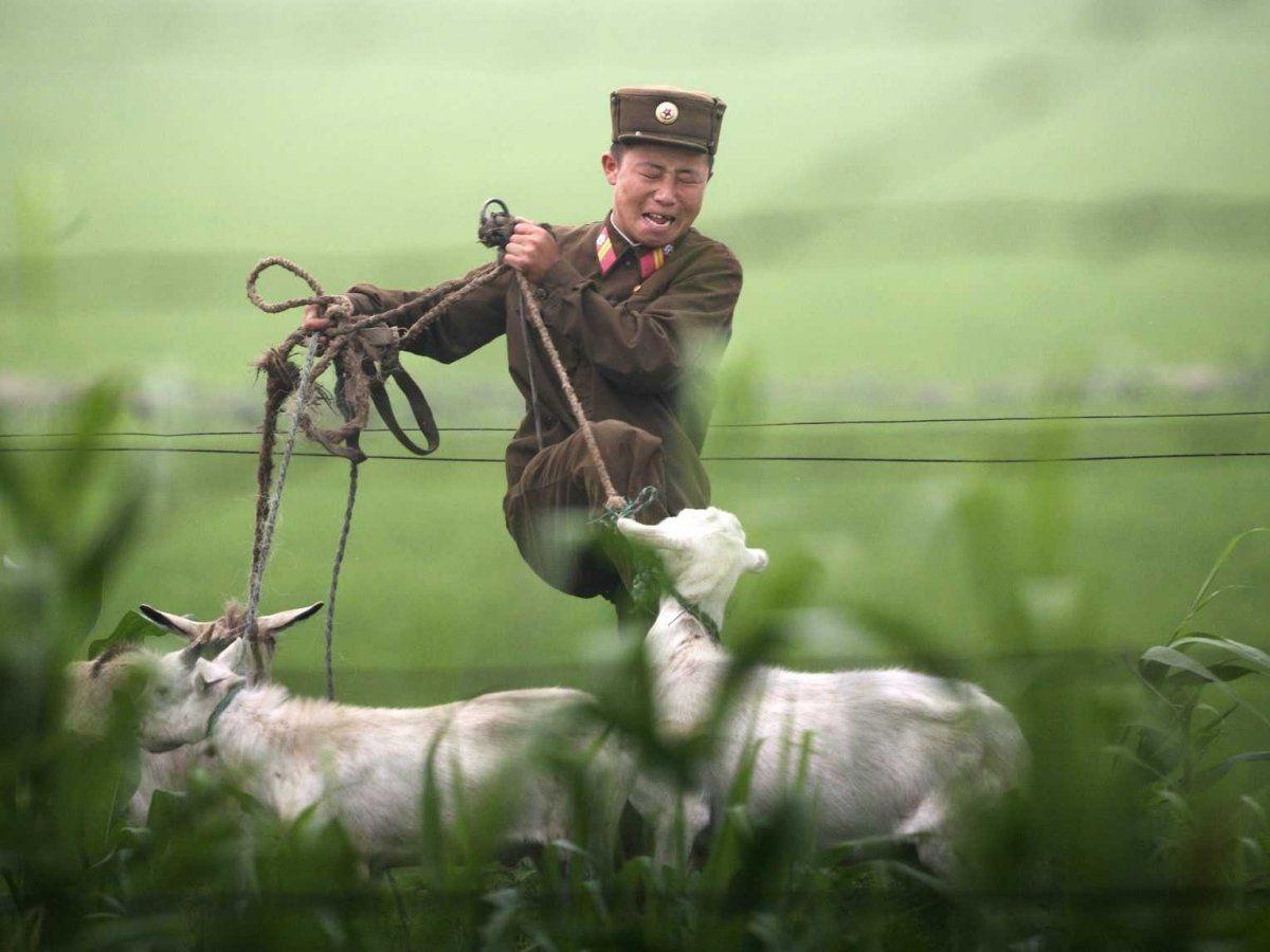 1200x900 North Korea's 2013 Summed Up In 13 Photo, Desktop