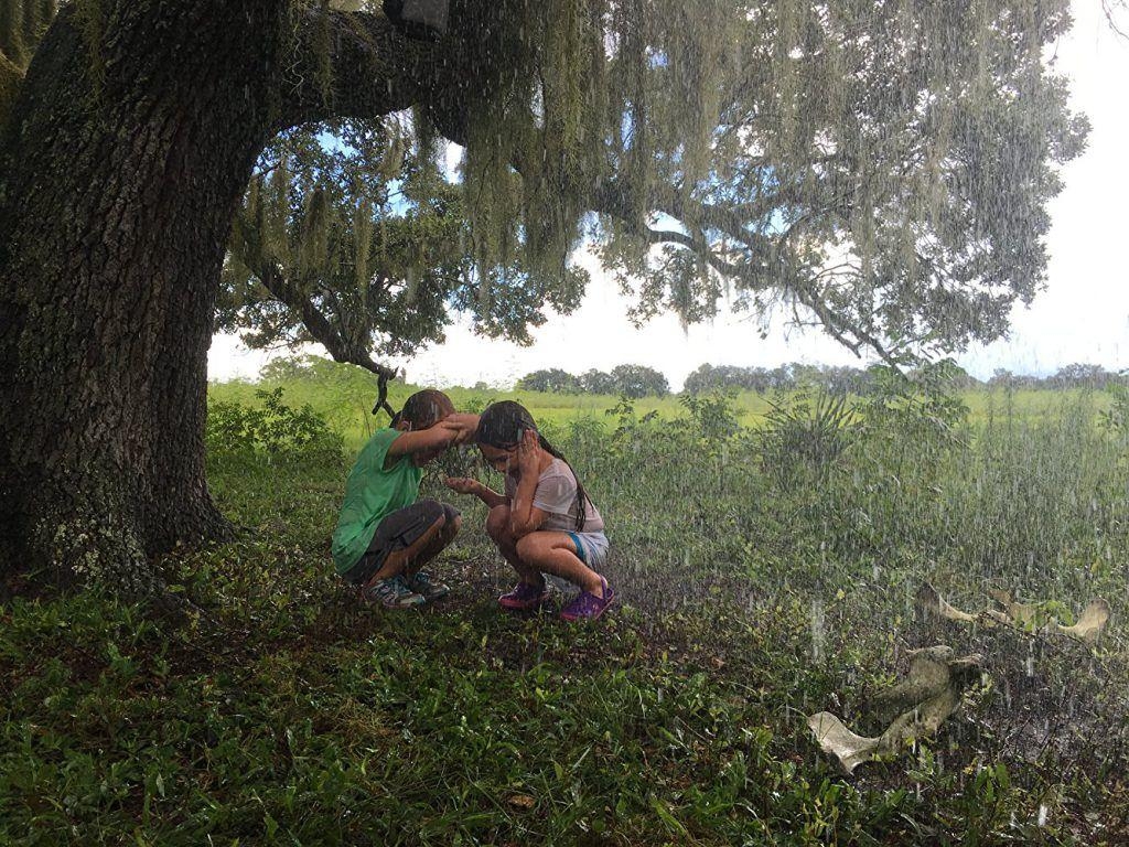 1030x770 The Florida Project review: Dir. Sean Baker (2017), Desktop