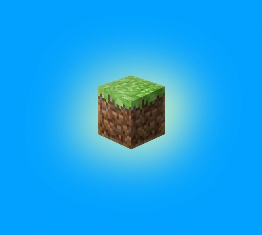 1010x900 Minecraft Grass Wallpaper Free Minecraft Grass Background, Desktop