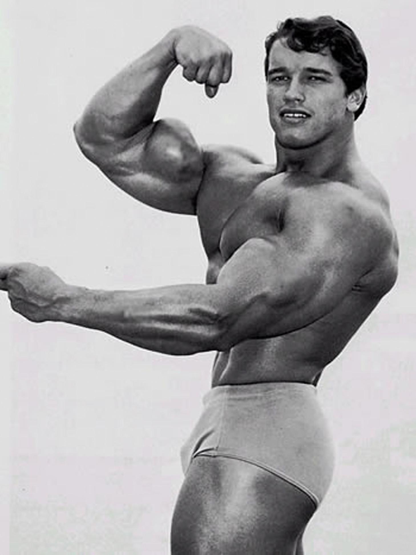 1460x1950 Arnold Schwarzenegger Bodybuilding Wallpaper Posters and Picture, Phone