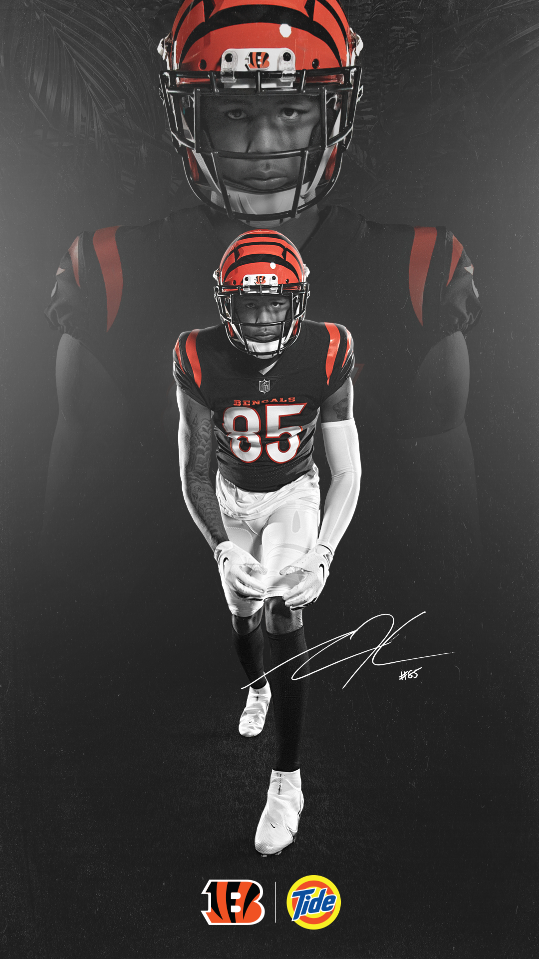 1080x1920 Cincinnati Bengals Fans, Phone