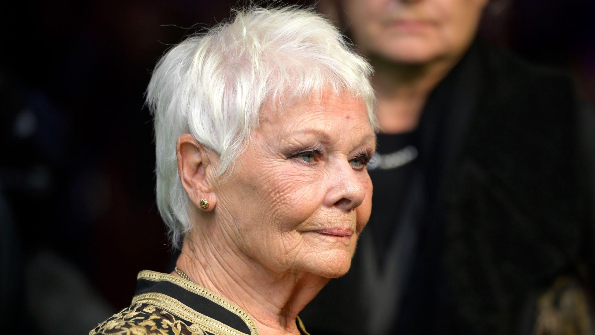 2050x1160 Judi Dench to join Idris Elba, Taylor Swift and James Corden in new, Desktop