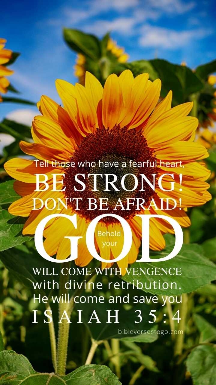 720x1280 Cute Bible Verse Wallpaper 500 FREE Downloads Verses To Go, Phone