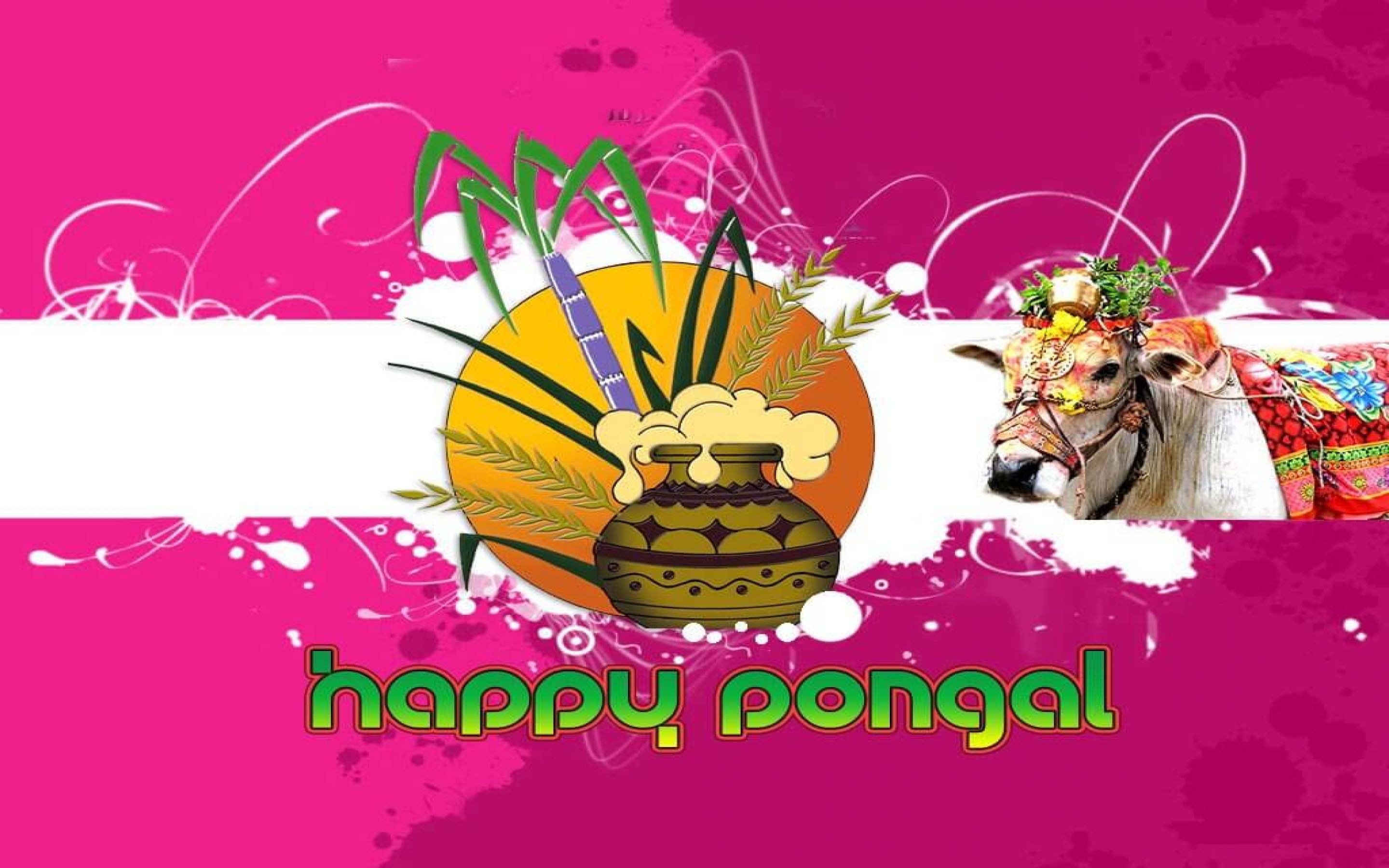 2880x1800 Happy Mattu Pongal Background HD Wallpaper, Desktop