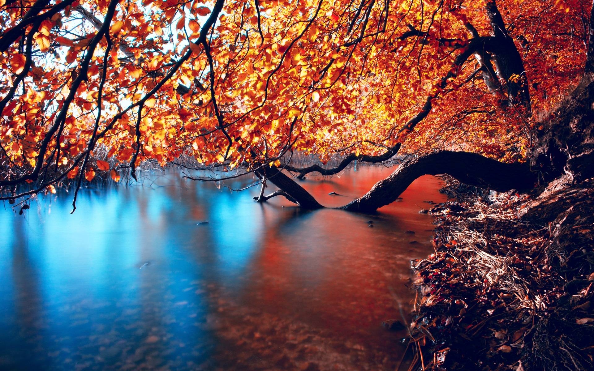 1920x1200 Beautiful autumn wallpaper HD Wallpaper, Desktop