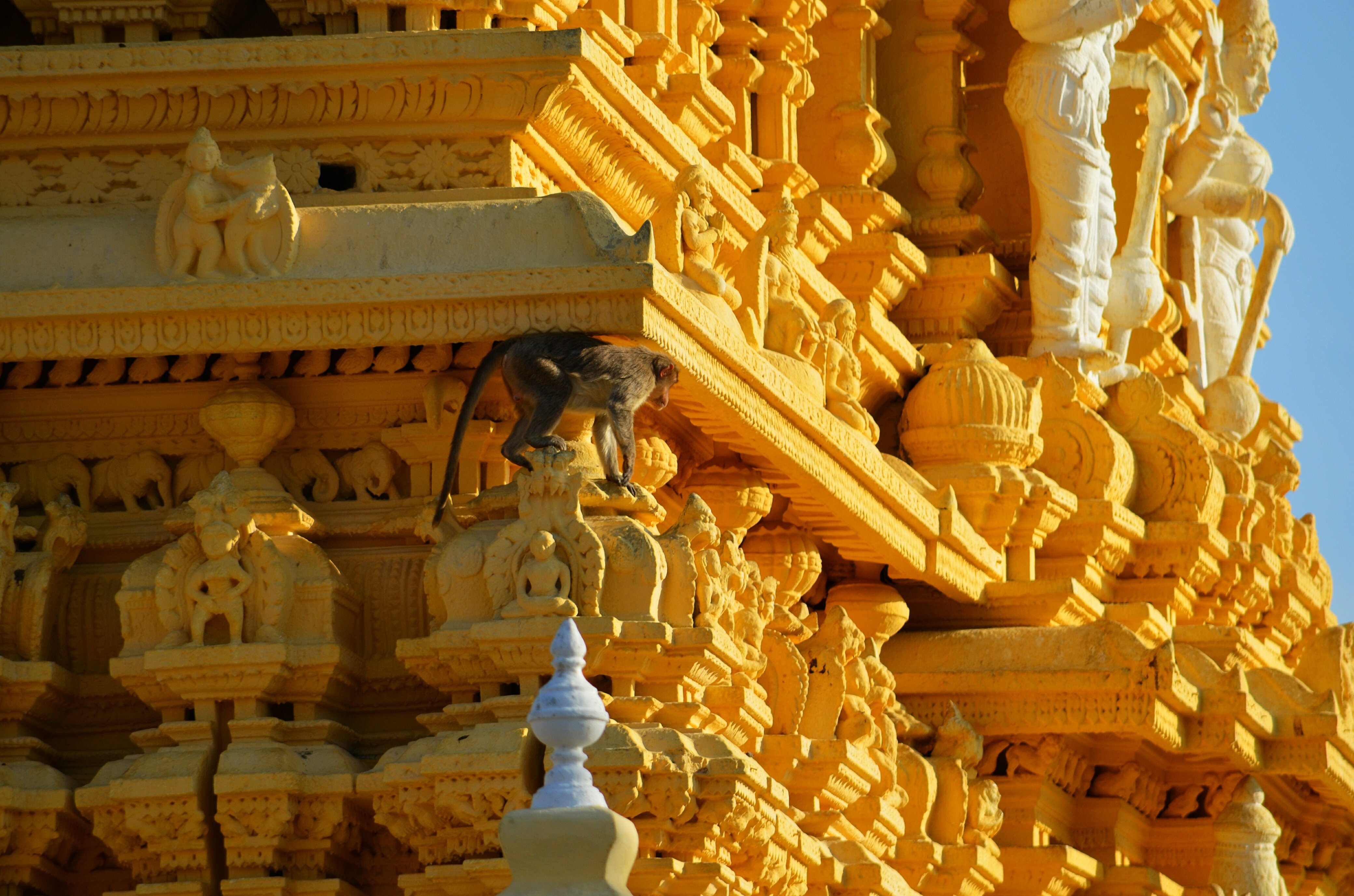 4160x2760 Wallpaper, monument, animals, temple, monkey, mysore, chamundi, mygearandme, flickrandroidapp filter none, Desktop