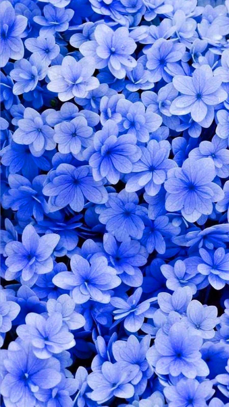 900x1600 Blue Floral Wallpaper, Phone