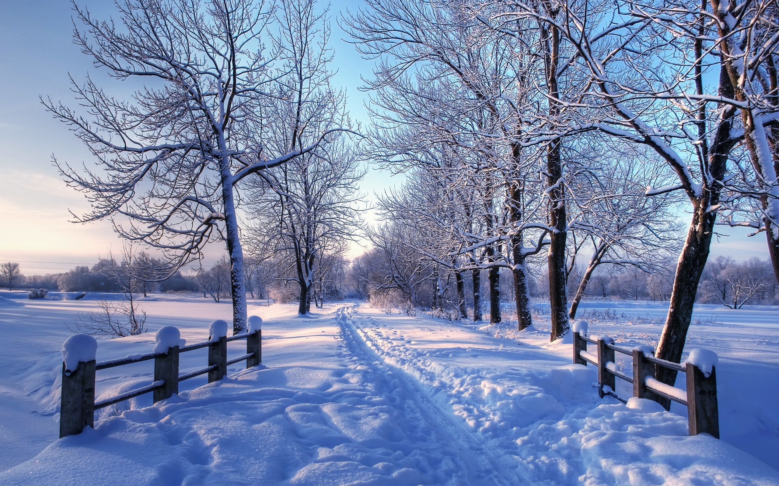 2560x1600 Winter Mac Wallpaper Free Winter Mac Background, Desktop