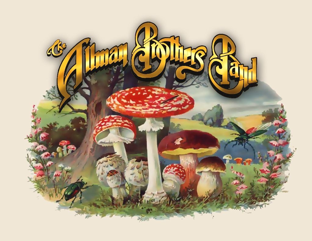 1030x790 ' THE ALLMAN BROTHERS BAND GREG ALLMAN IS HOT, Desktop