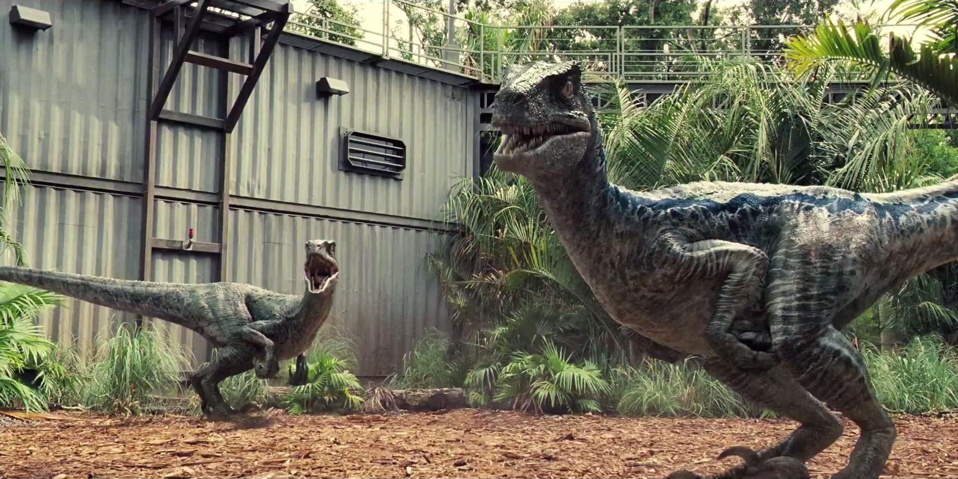 1920x960 Jurassic World Fallen Kingdom Blue Velociraptor HD Wallpaper, Dual Screen