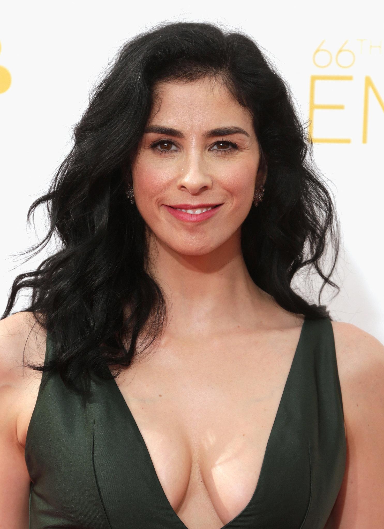 1490x2050 Sarah Silverman HD Wallpaper for desktop download, Phone