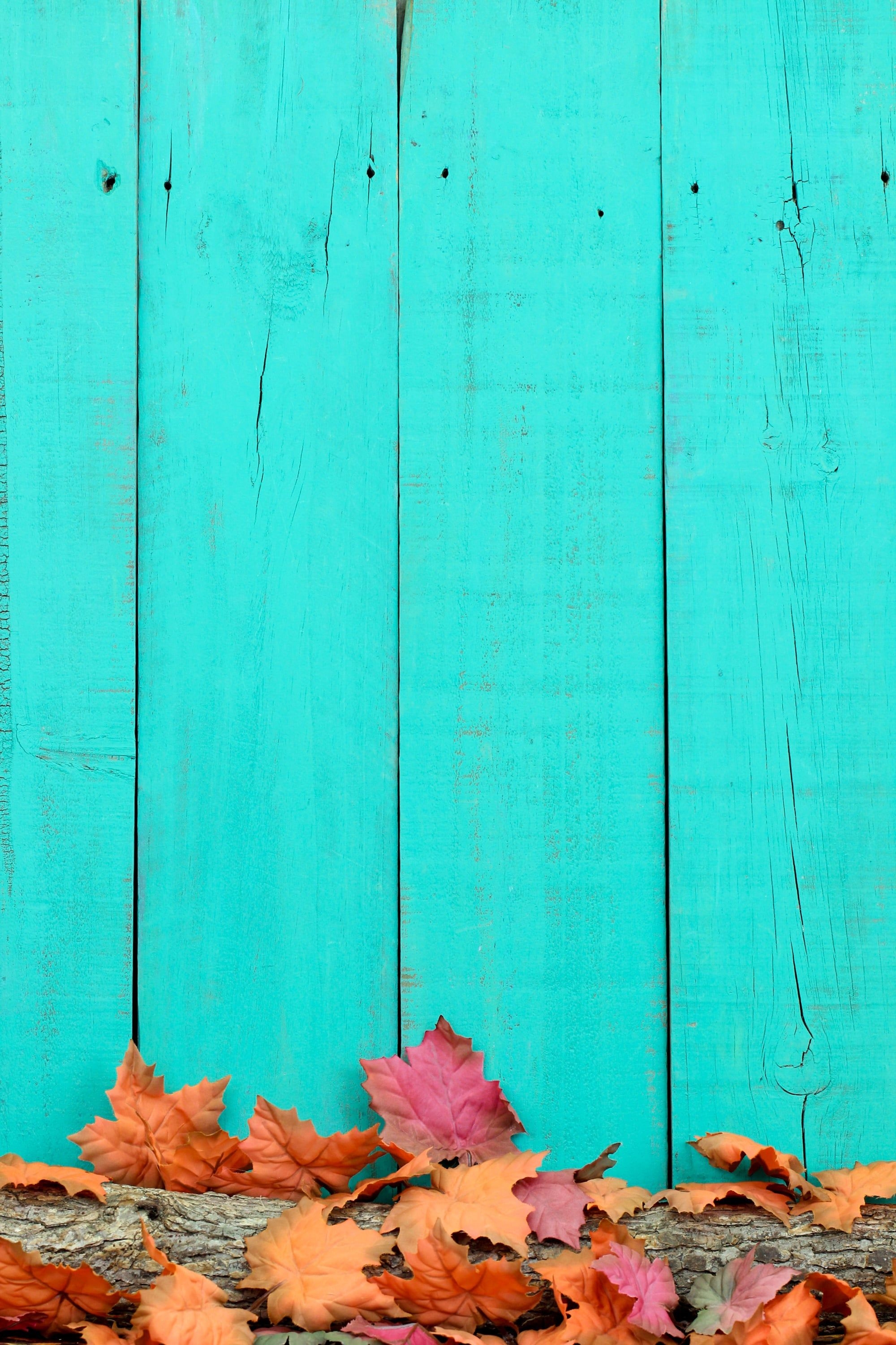 2000x3000 Best Fall Wallpaper For Your IPhone's Home Screen Aesthetic, Phone