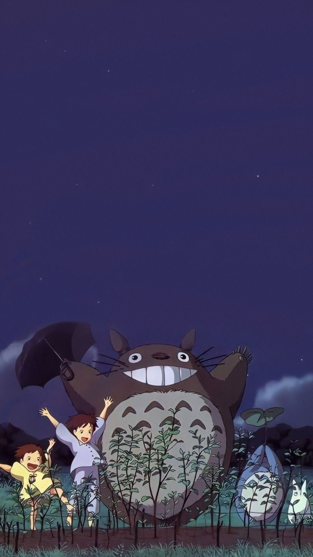 1080x1920 My Neigbor Totoro iPhone Wallpaper My Neigbor Totoro iPhone Wallpaper, Phone