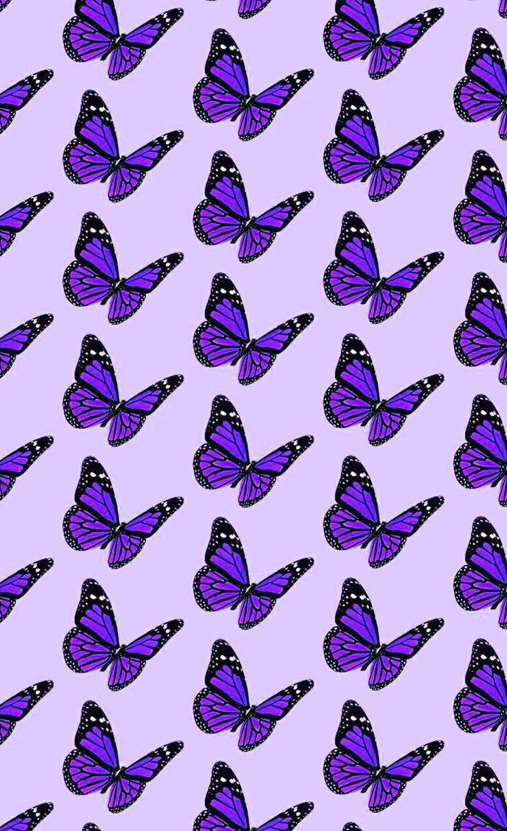 740x1210 butterfly wallpaper. Butterfly wallpaper, Aesthetic iphone wallpaper, Purple wallpaper iphone, Phone