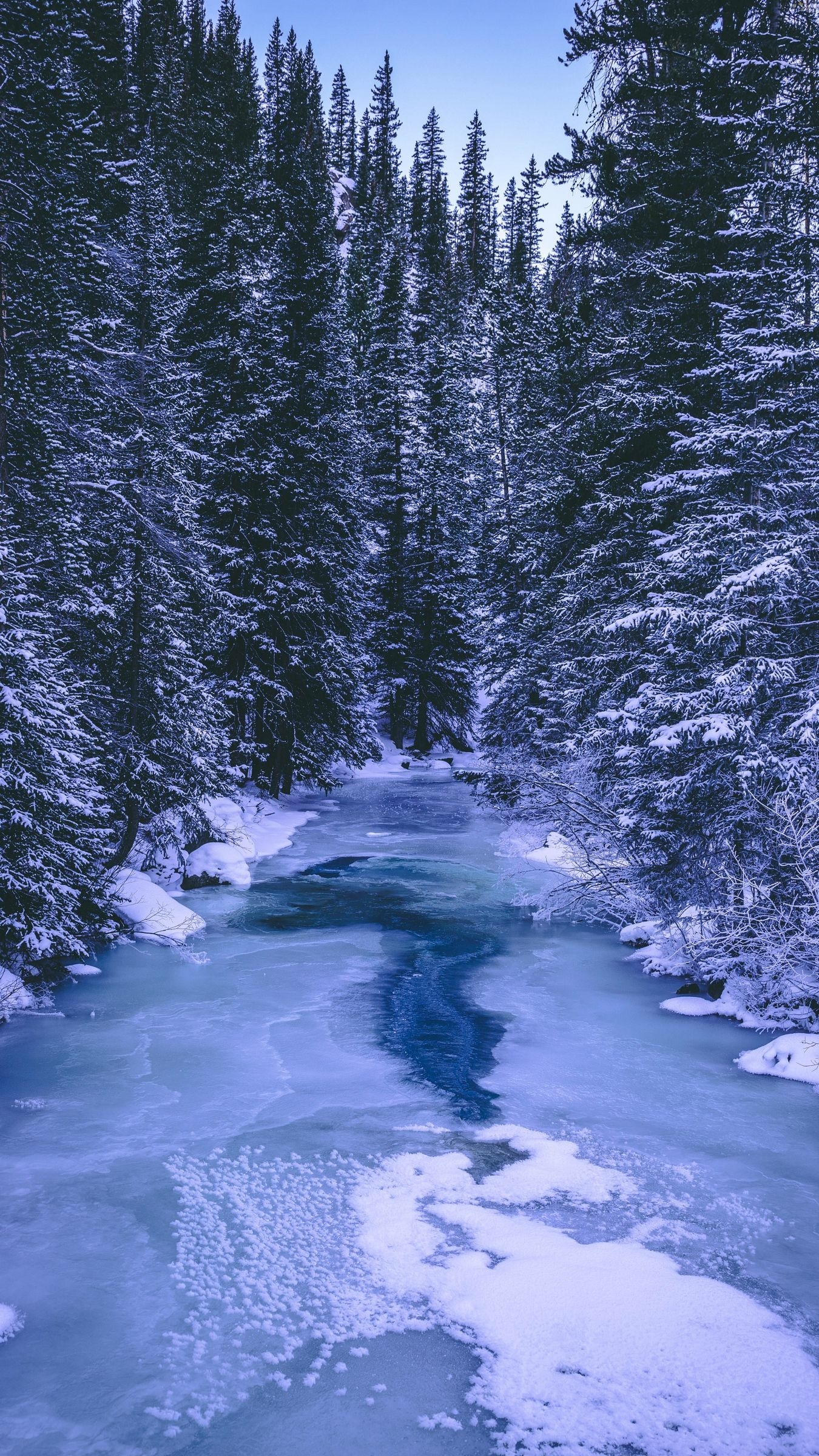 1350x2400 Download wallpaper  forest, winter, river, snow, ice, Phone