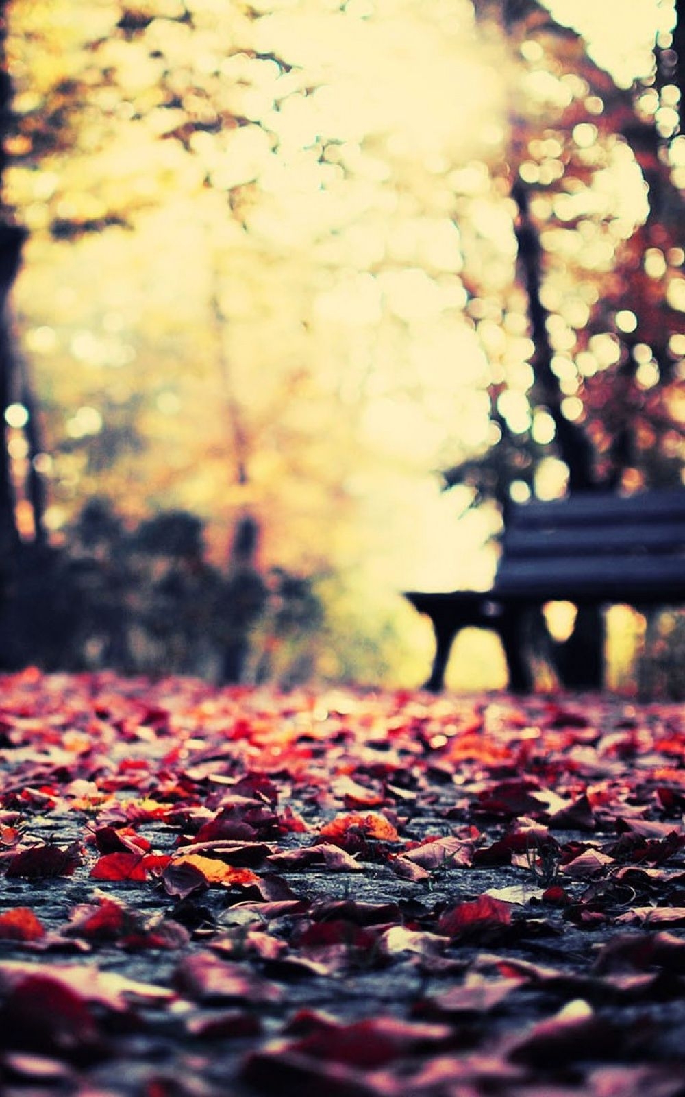 1000x1600 Autumn Wallpaper For Android. All HD Wallpaper Gallery, Phone