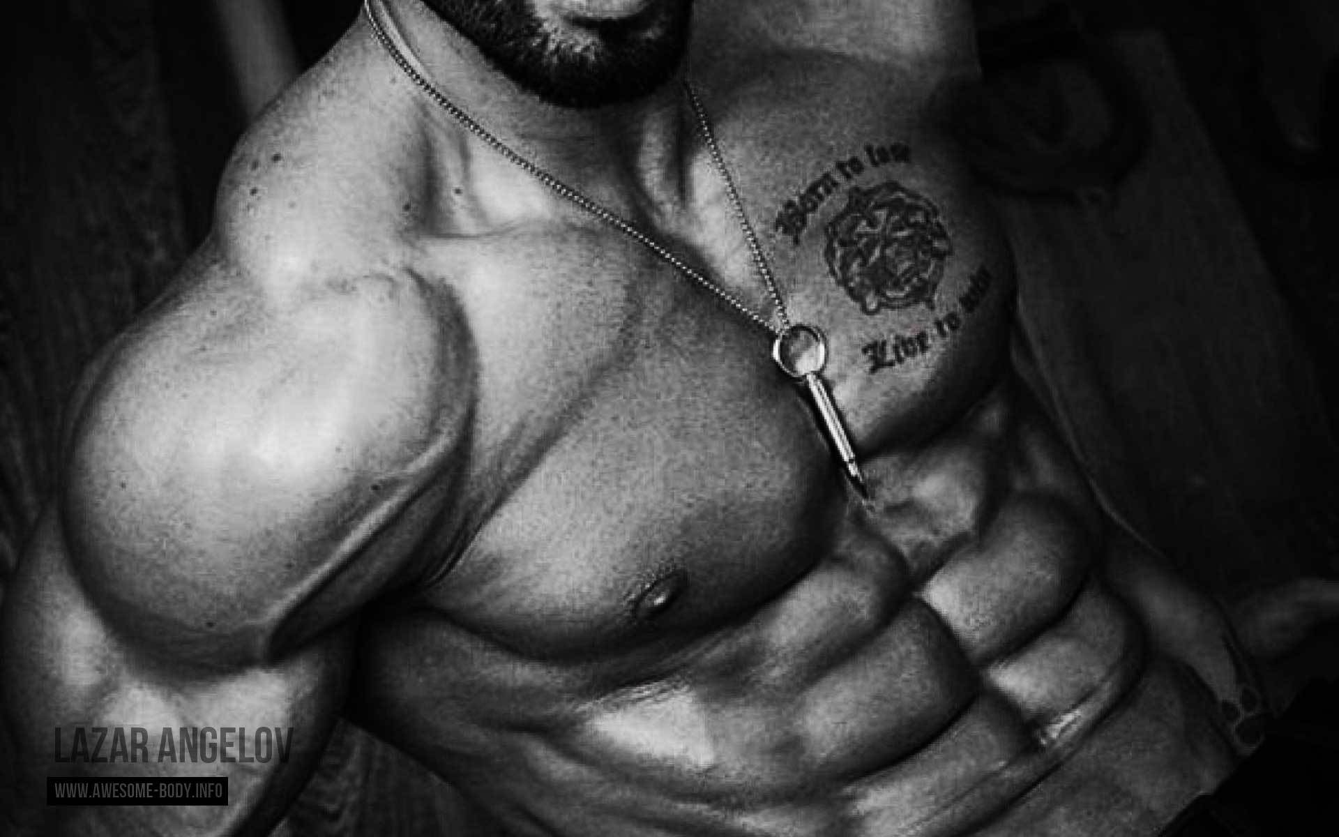 1920x1200 Lazar Angelov HD Wallpaper, Desktop