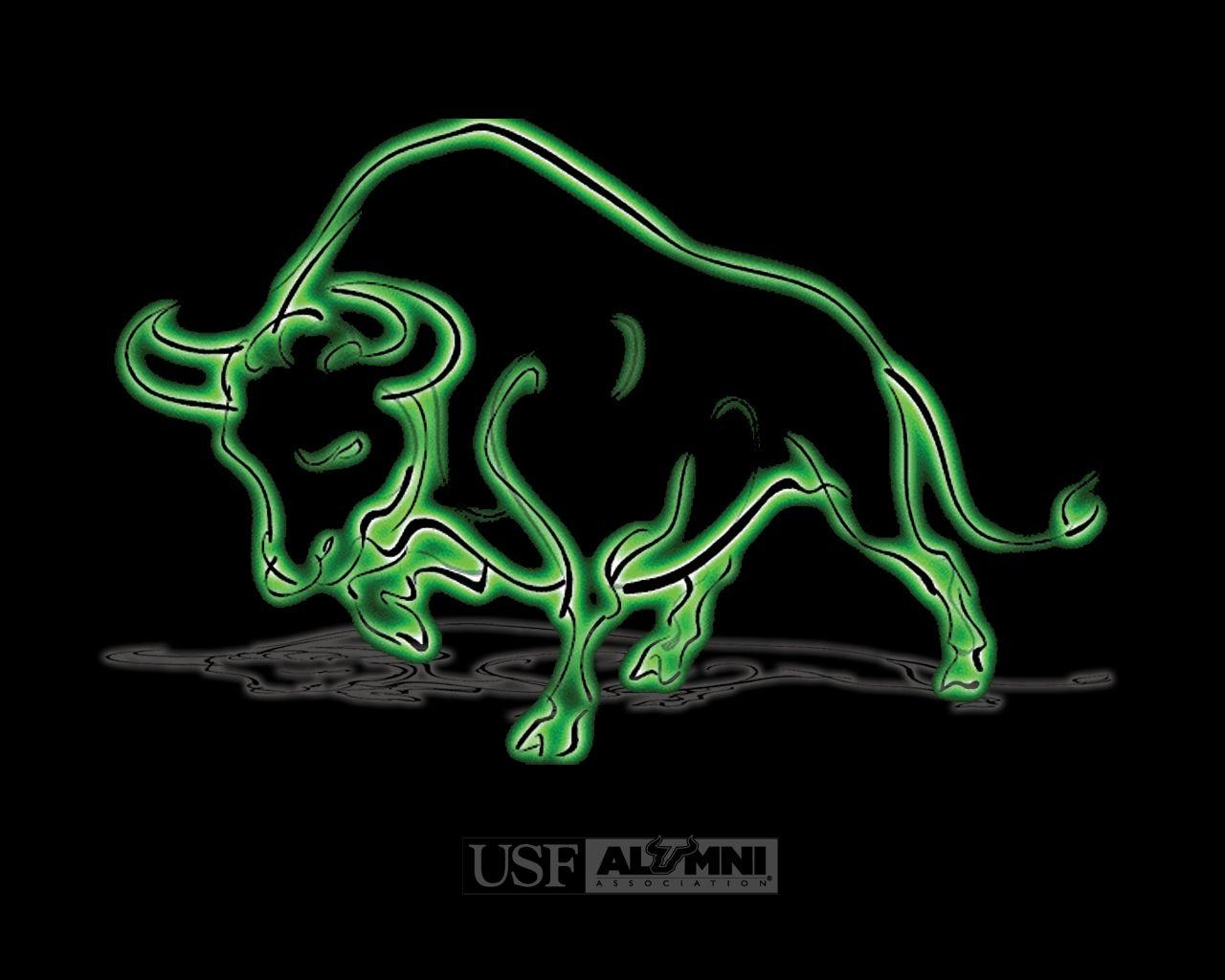 1280x1030 USF Alumni, Desktop