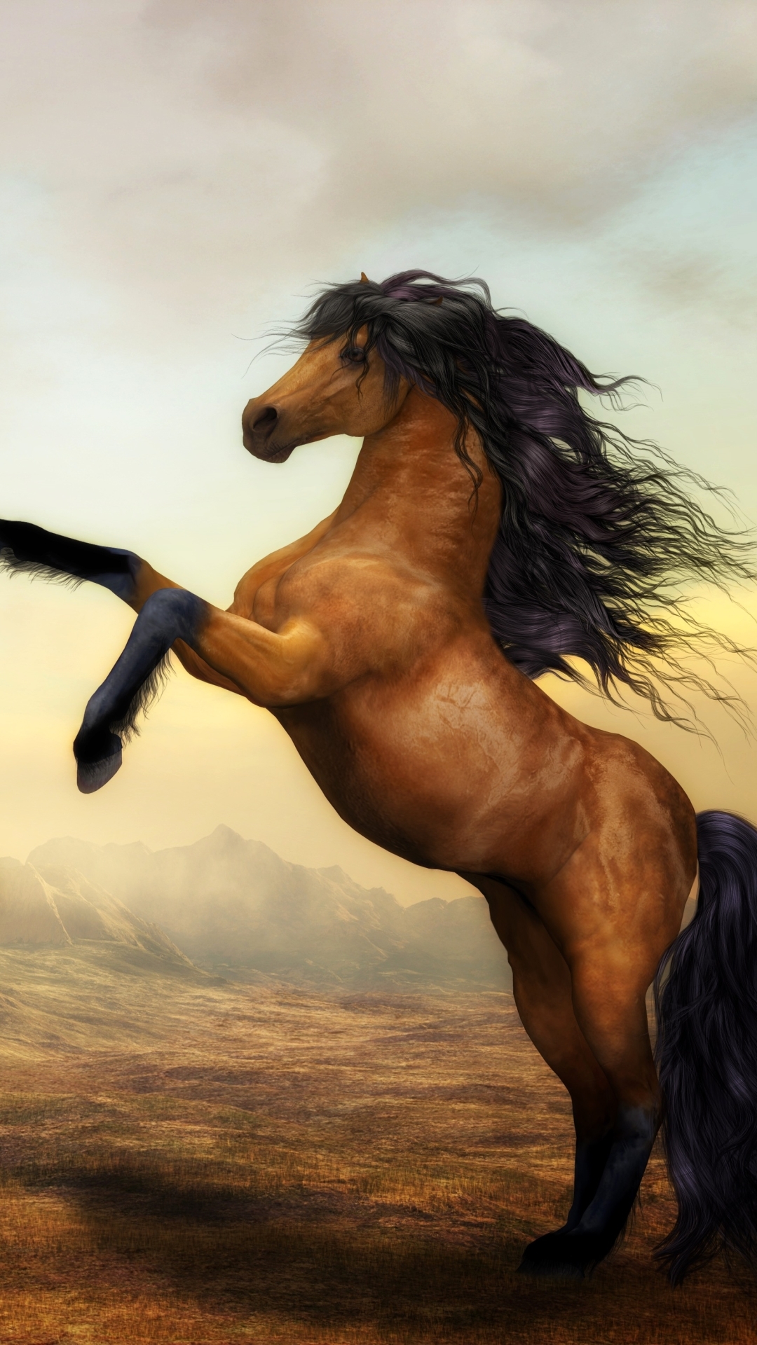 1080x1920 Download Arabian Horse wallpaper for mobile phone, free Arabian Horse HD picture, Phone