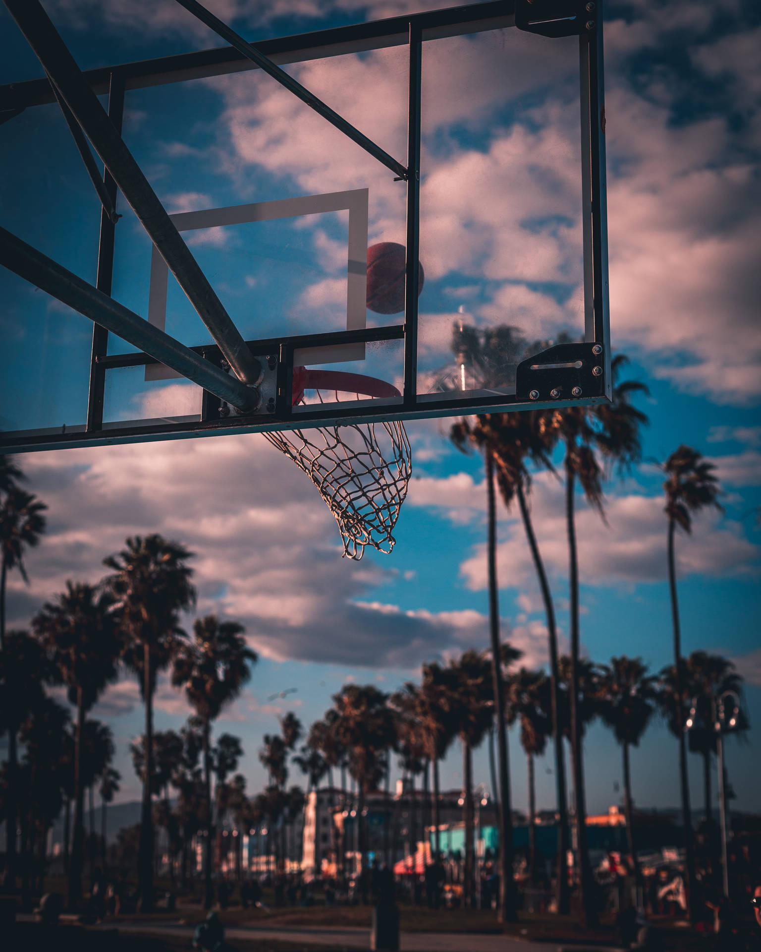 1540x1920 Download Palm Tree Sunset Basketball, Phone