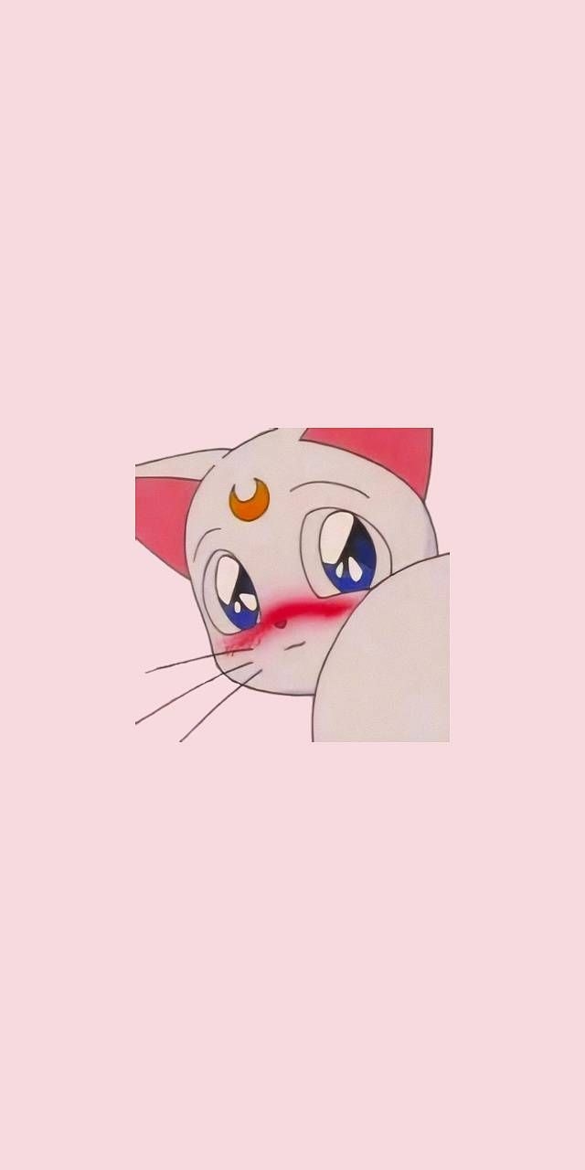 640x1280 Sailor moon cat wallpaper, Phone