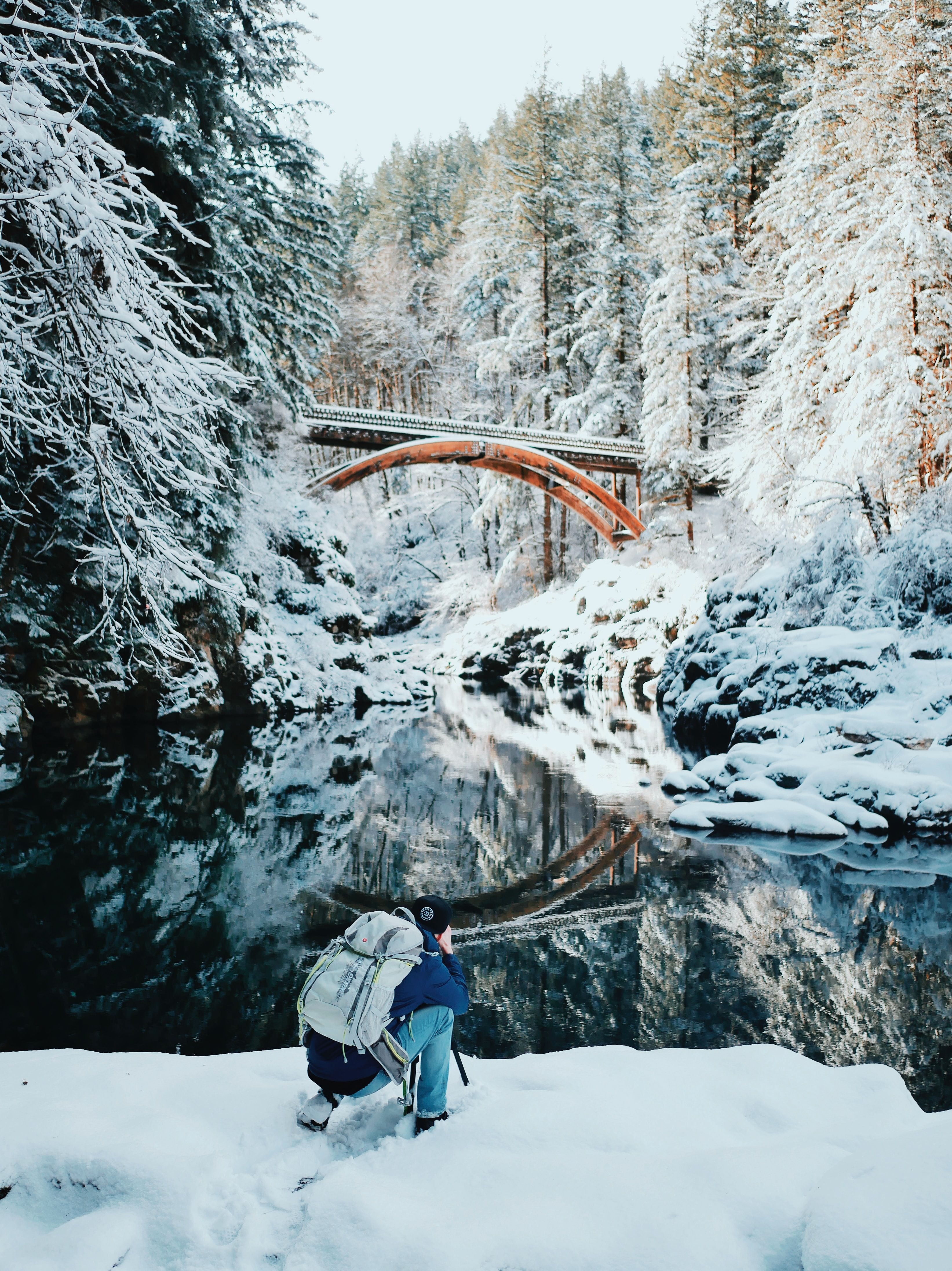 3290x4390 Winter best free winter, snow, outdoor and grey photo, Phone