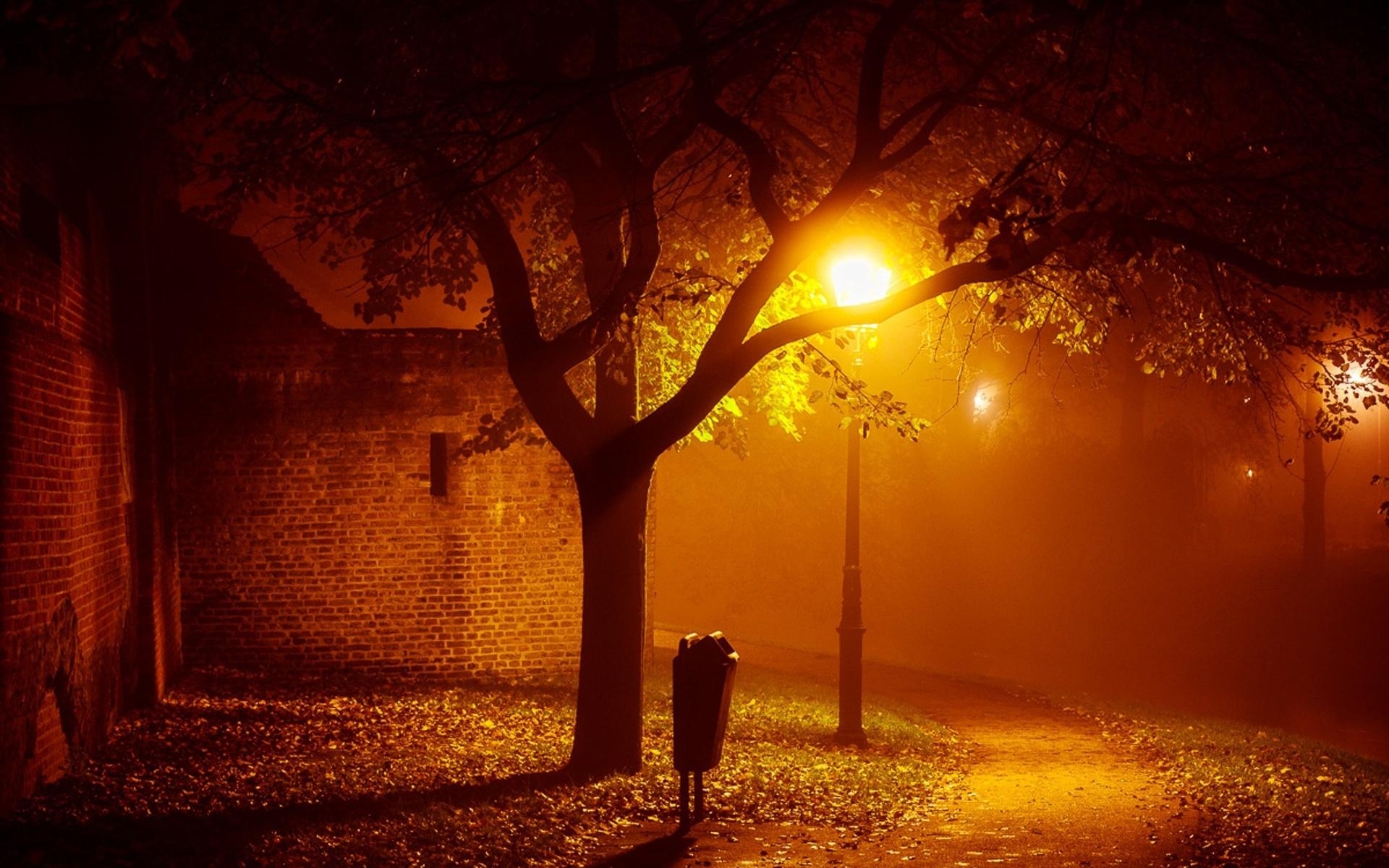 1920x1200 Landscapes night lights mood autumn fall seasonal fog mist places, Desktop