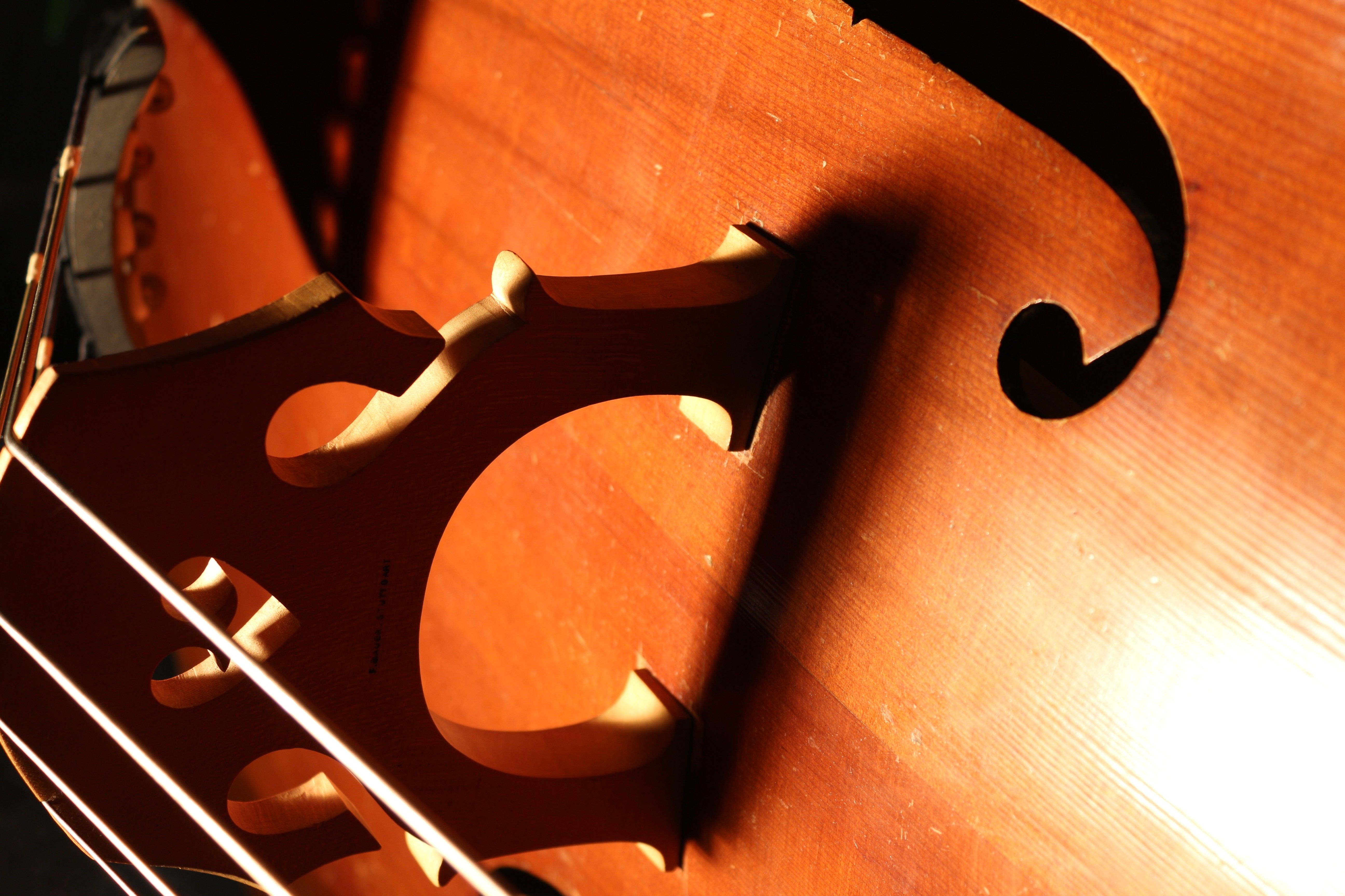 5190x3460 brown, bass, Instruments, double bass, canon eos 650d, String Bass, Desktop