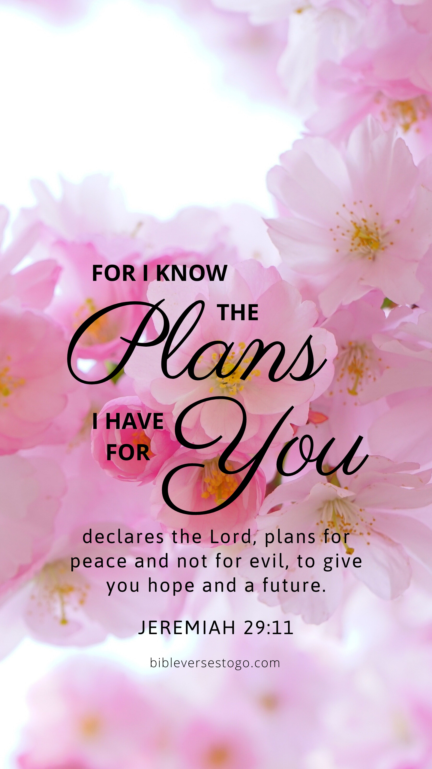 1440x2560 Pink Bloom Jer 29:11. Christian iphone wallpaper, Scripture wallpaper, Christian quotes inspirational, Phone