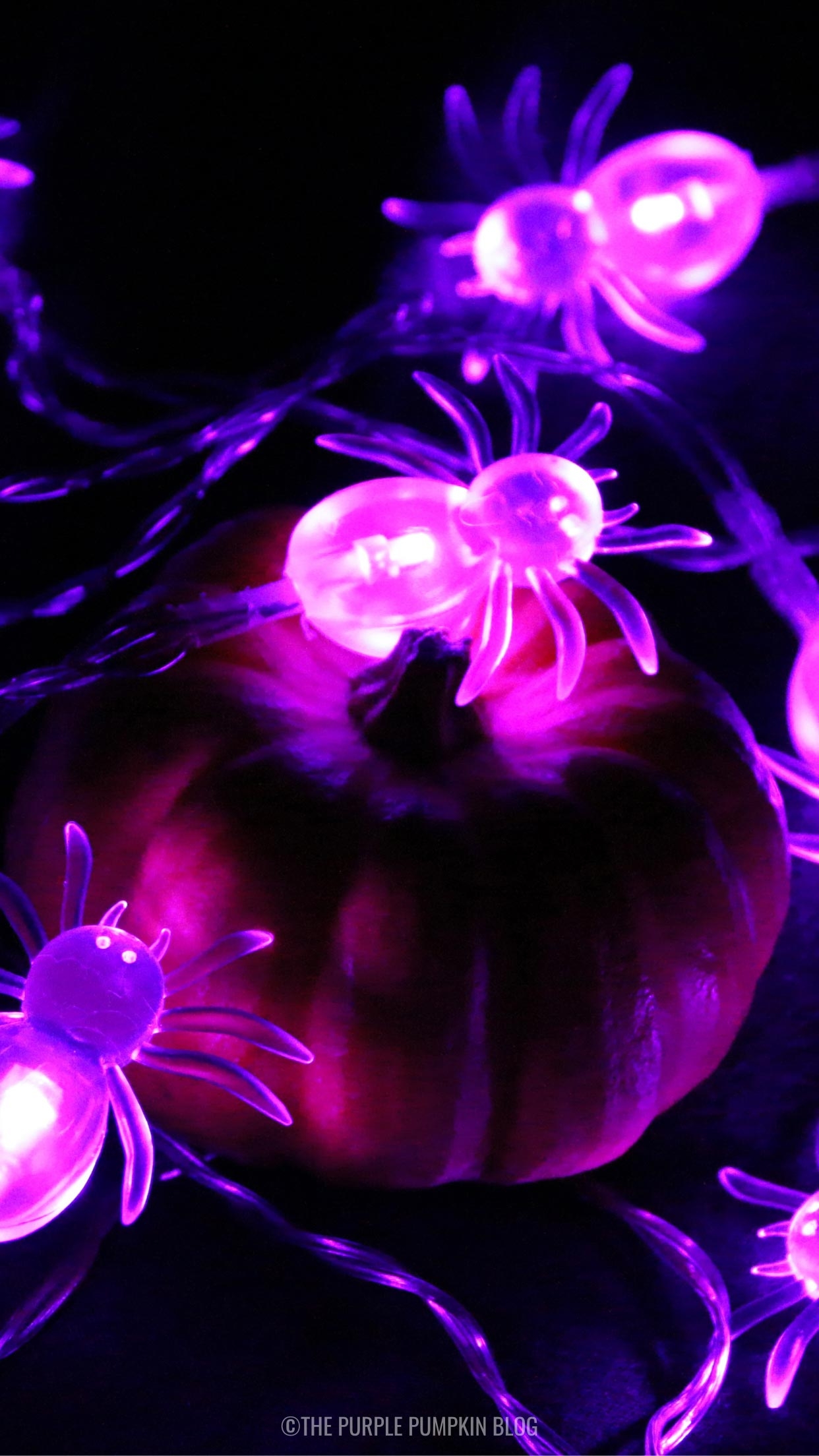 1250x2210 Purple Halloween iPhone Wallpaper To Download for Free!, Phone