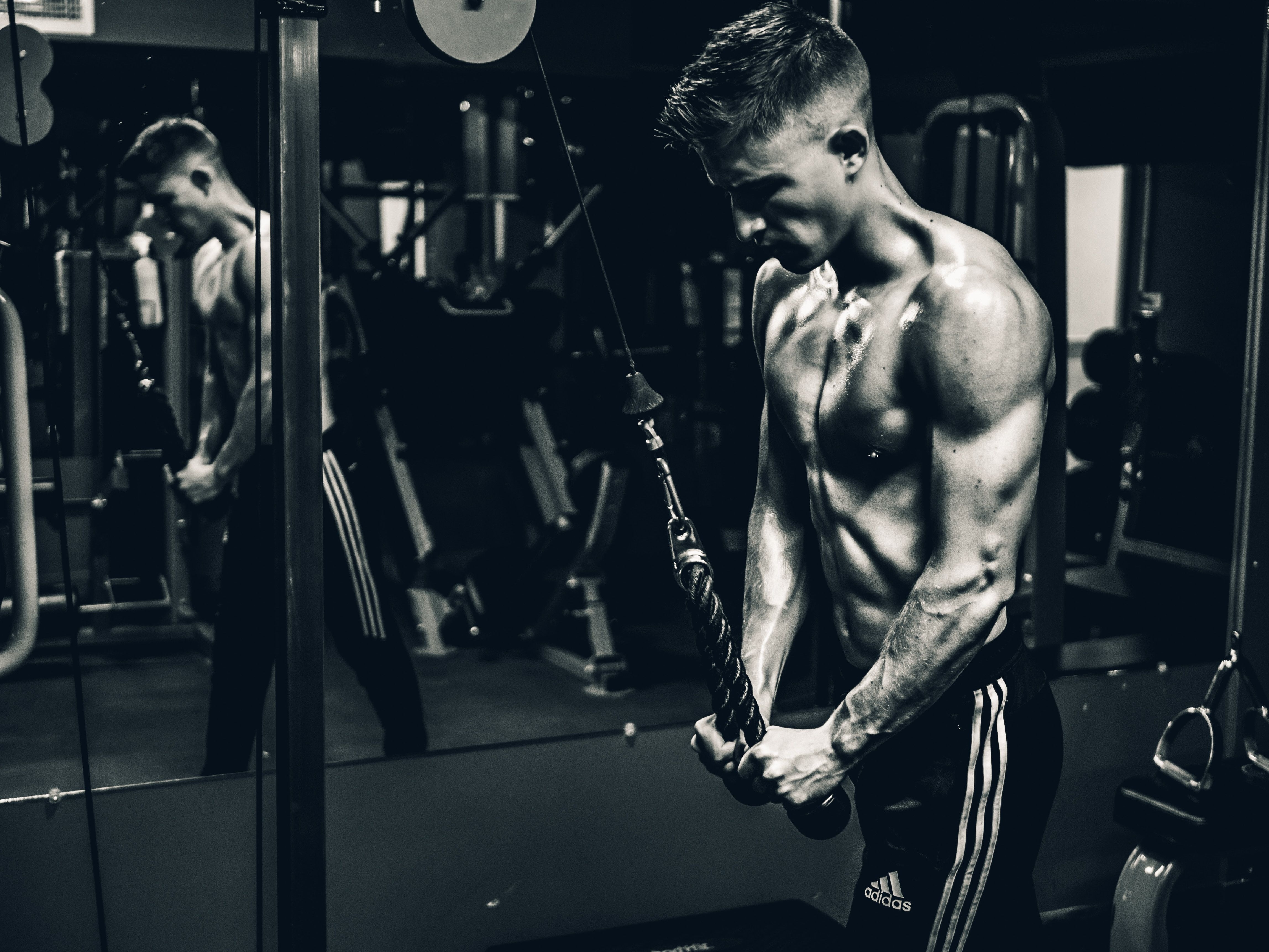 4600x3450  #workout, #strong, #Free image, #chest, #no shirt, # fitness, #reflection, #man, #gym, #time, #training, #black and white, #curl, #muscles, #never give up, #adidas, #mirror, #tricep, #dedication, #exercise. Mocah HD Wallpaper, Desktop