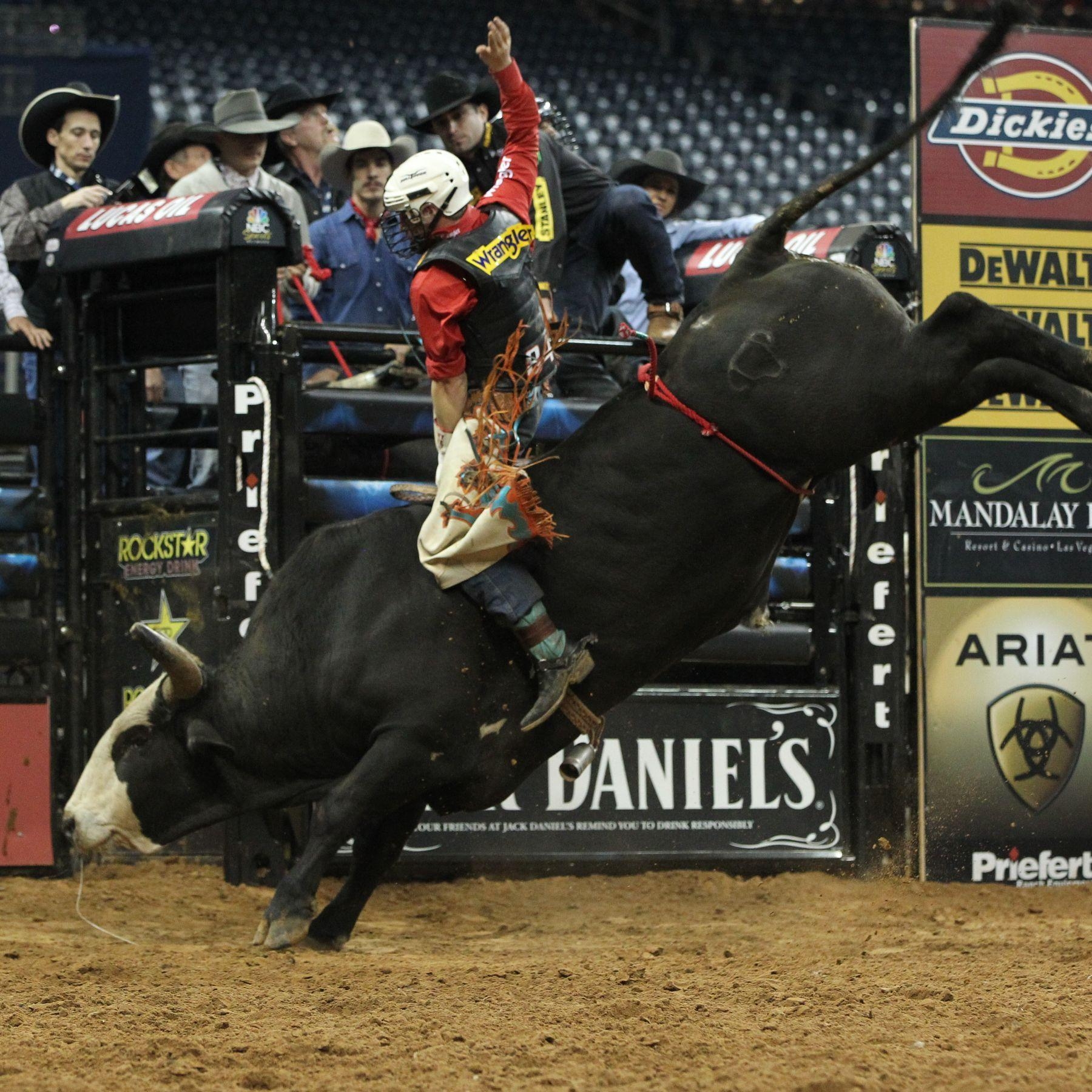 1800x1800 Pbr Bull Riding Wallpaper, Phone