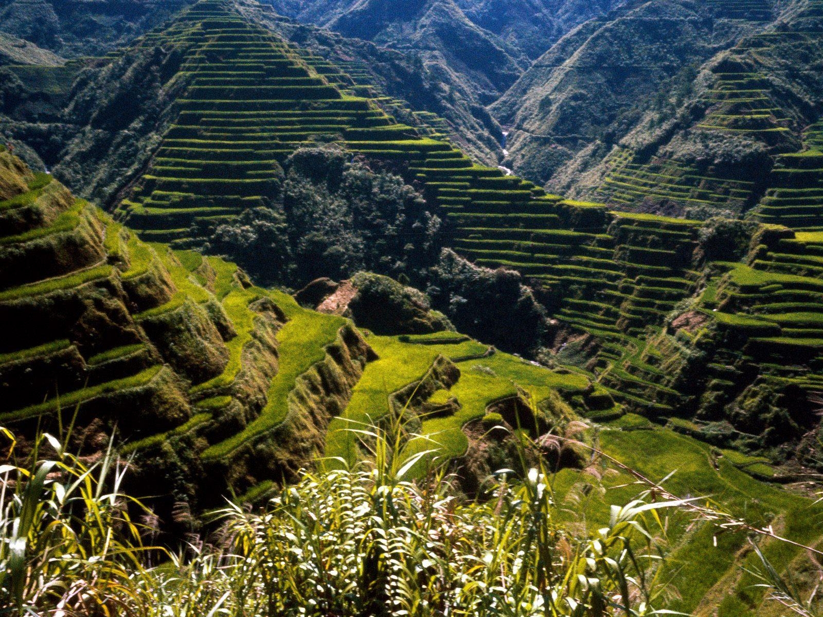 1600x1200 image of Banaue Rice Terraces Wallpaper - #CALTO, Desktop