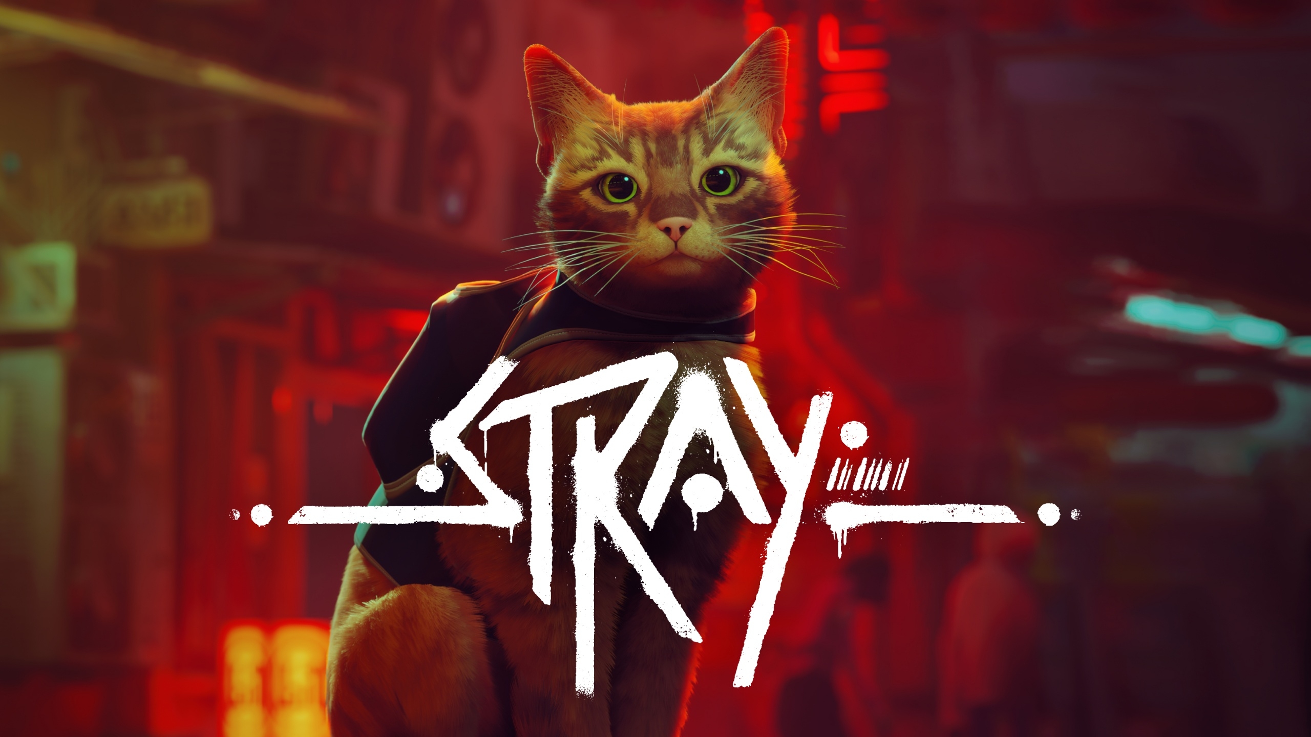 2560x1440 Stray Wallpaper 4K, PC Games, PlayStation 4, Desktop