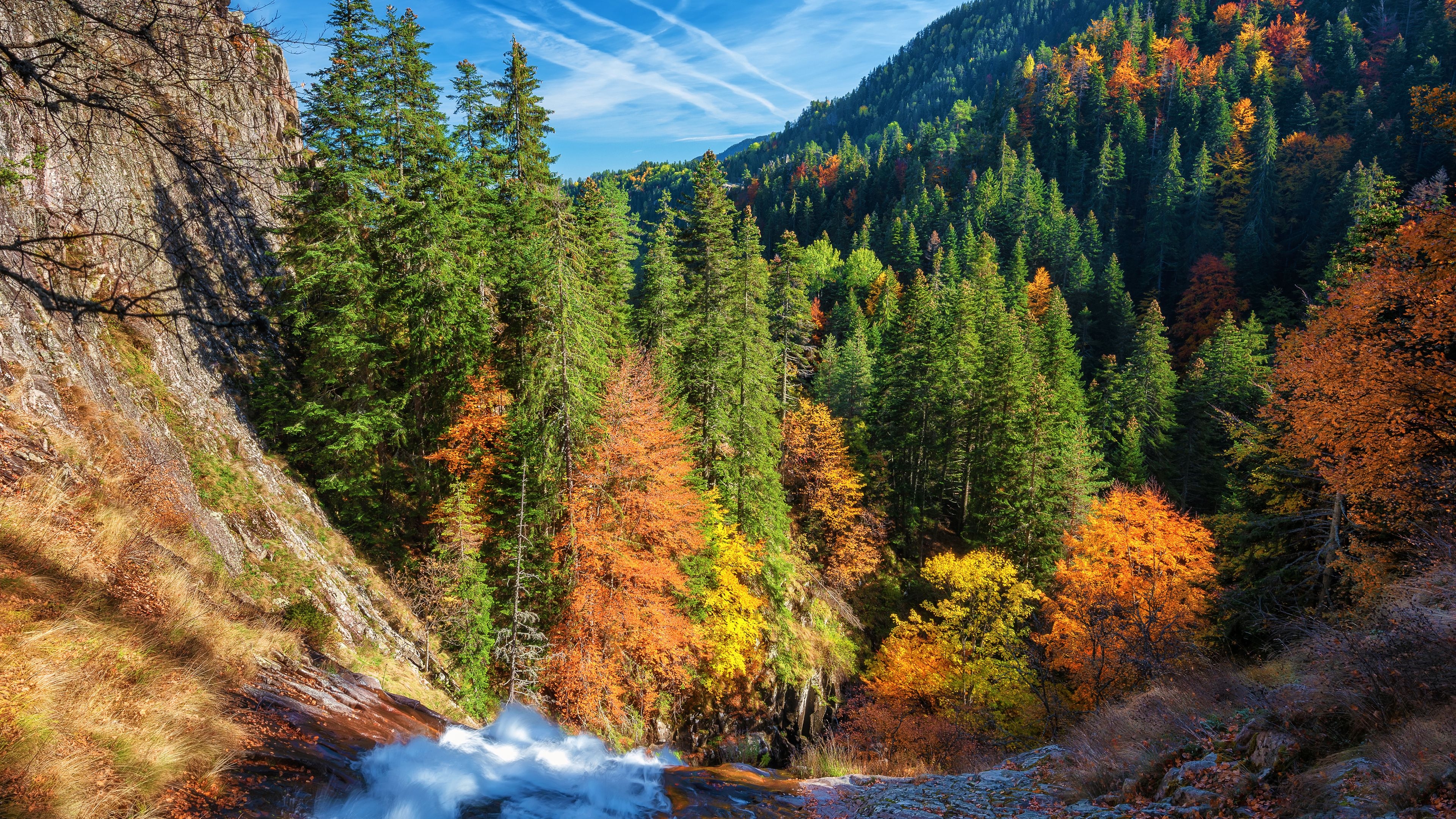 3840x2160 Autumn Forest Laptop Background, Desktop