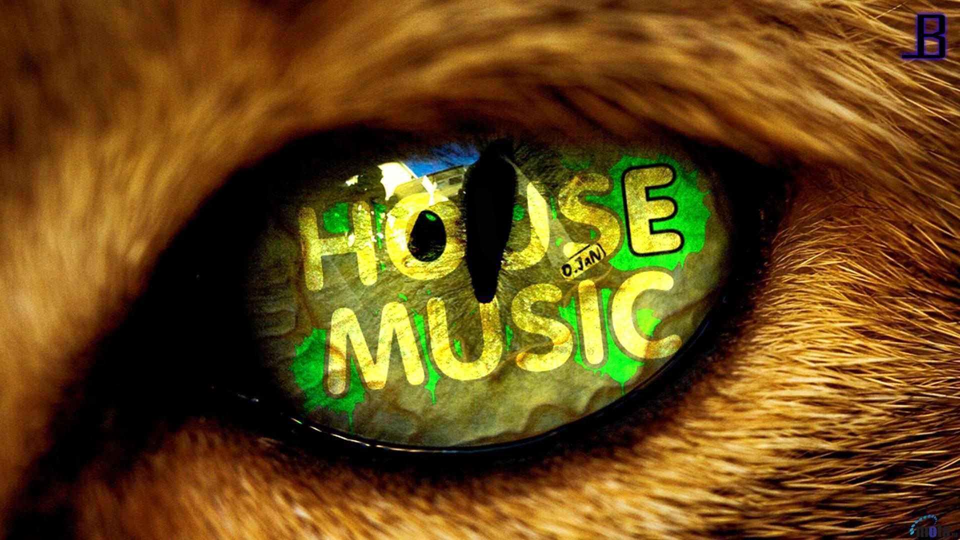 1920x1080 Music House Wallpaper Background 1 HD Wallpaper. aladdino, Desktop