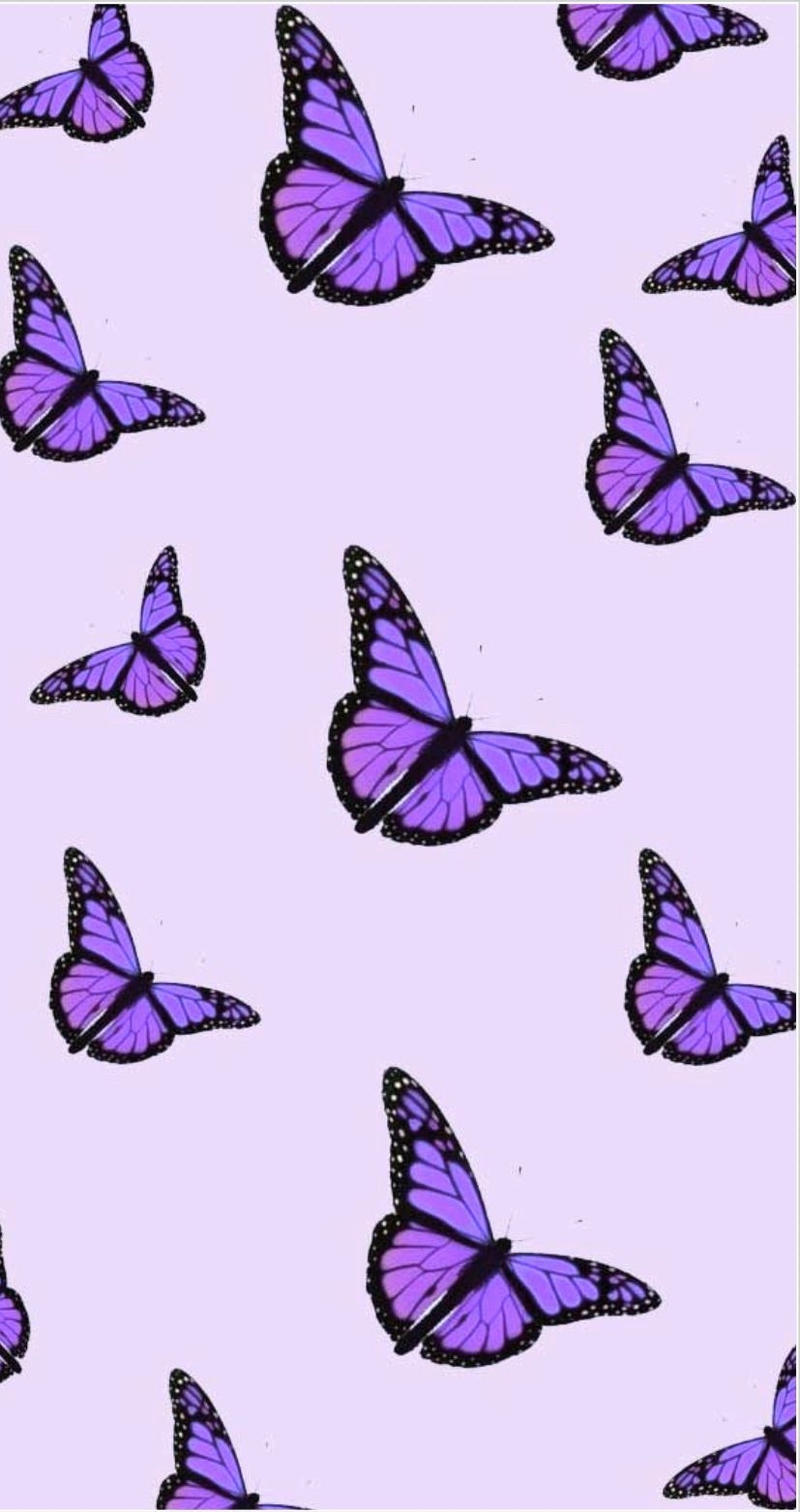 830x1570 Purple butterfly aesthetic. Butterfly wallpaper, Purple butterfly wallpaper, Butterfly wallpaper iphone, Phone