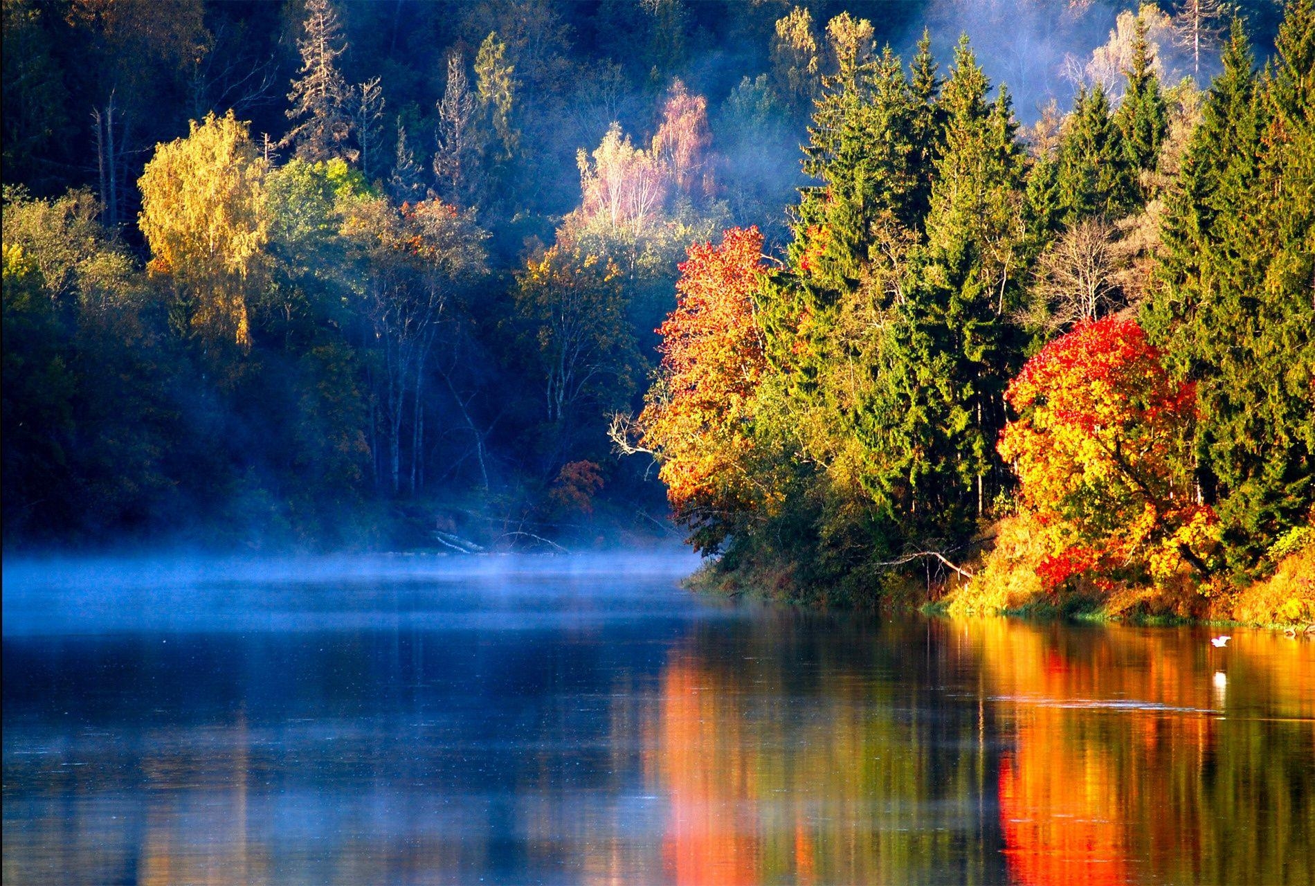 1900x1280 Wallpaper autumn, latvia, river, morning, autumn, forest, fog, Desktop