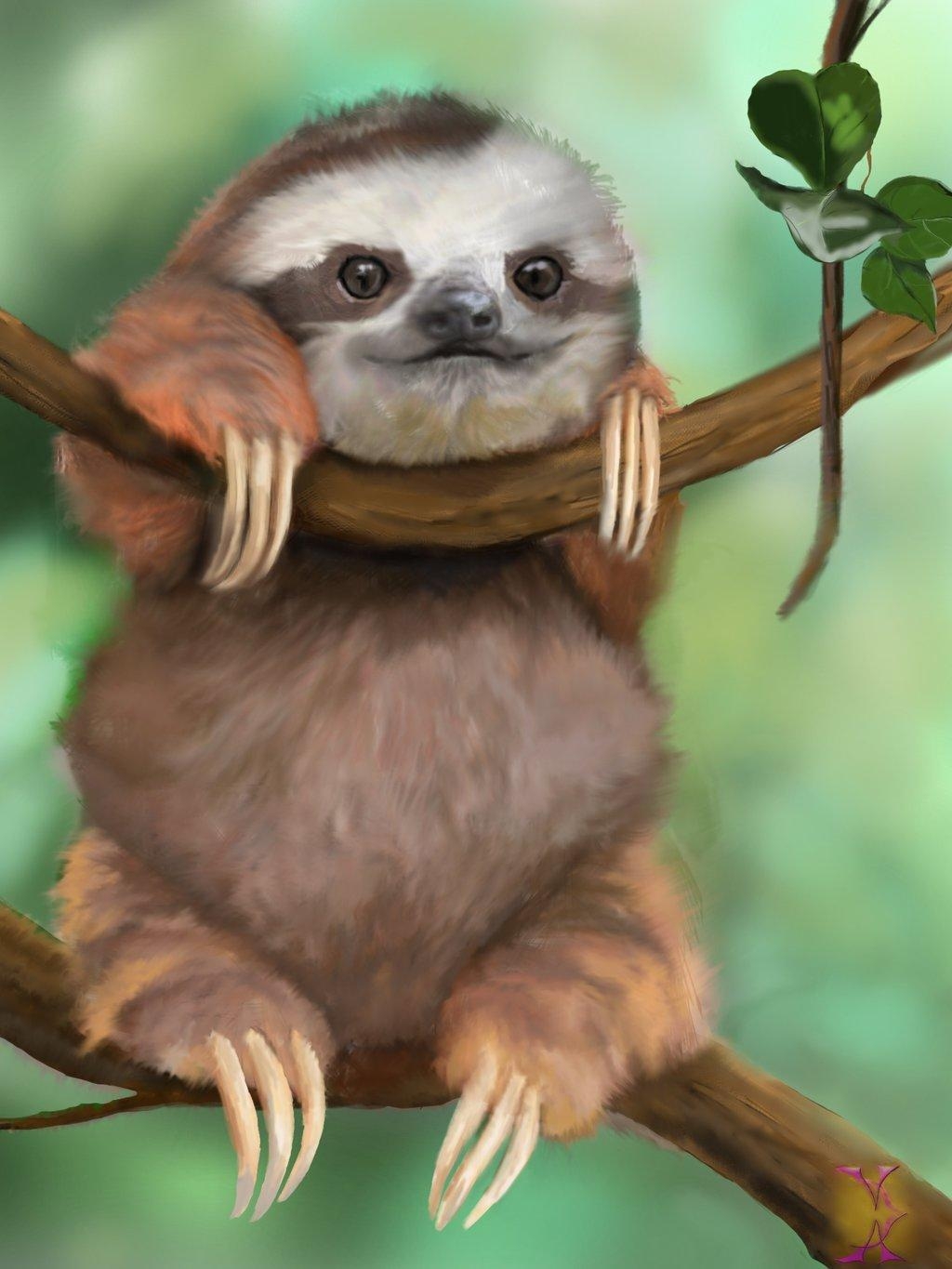 1030x1370 Baby Sloth Wallpaper, Phone