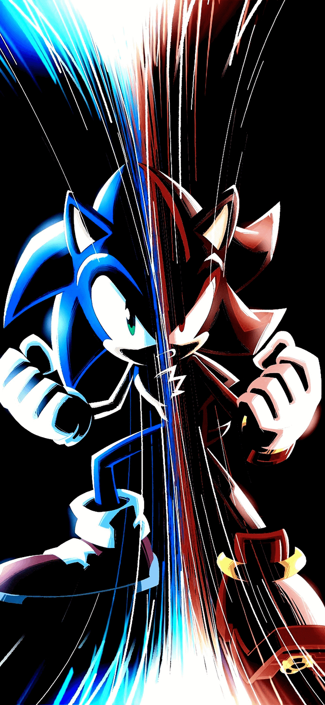 640x1390 Sonic the Hedgehog and Shadow wallpaper, Phone