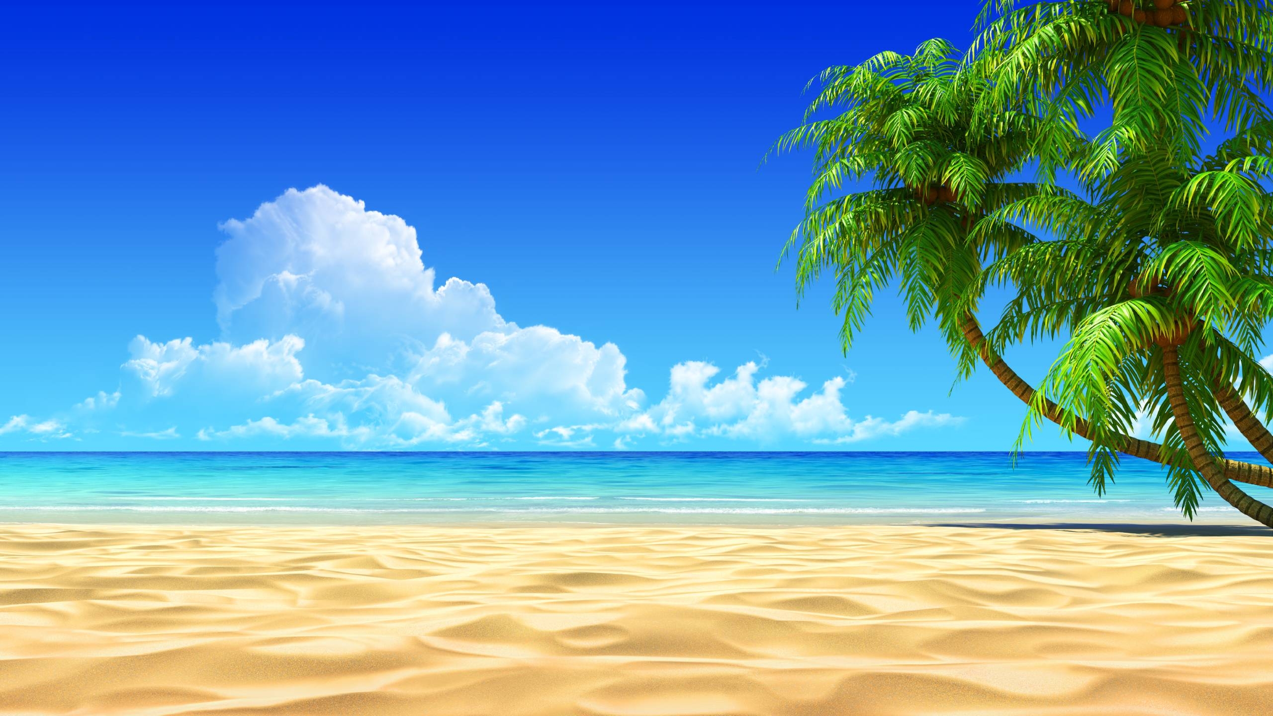 2560x1440 Beautiful Tropical Beach, Desktop