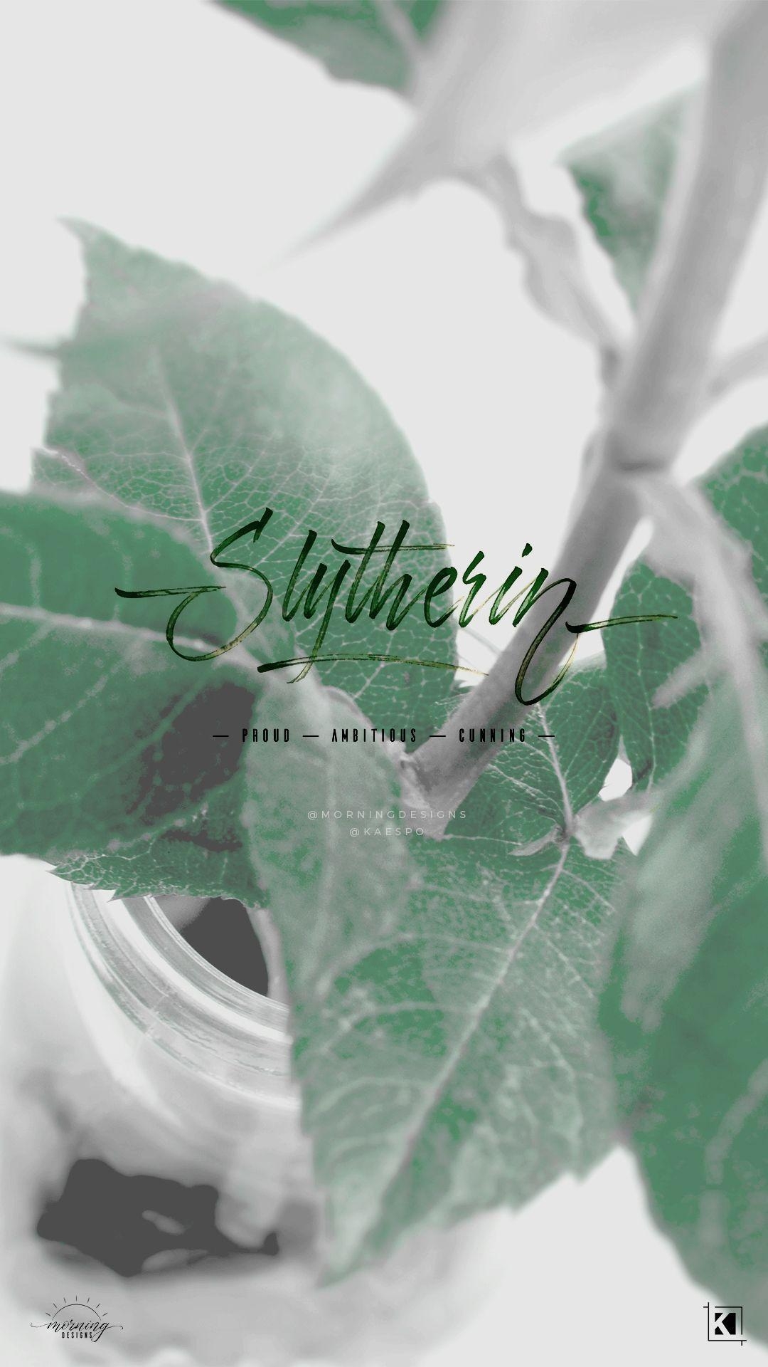 1080x1920 Floral Slytherin Aesthetics Phone Wallpaper Background, Phone