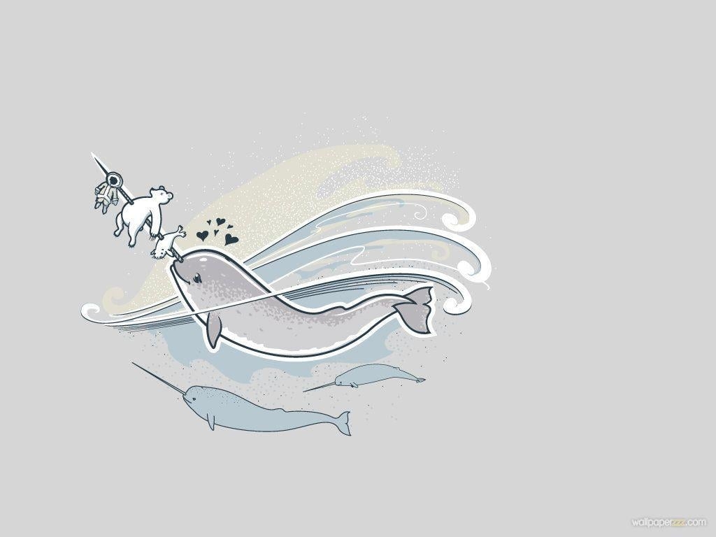 1030x770 Narwhal Wallpaper, Narwhal Wallpaper, Desktop