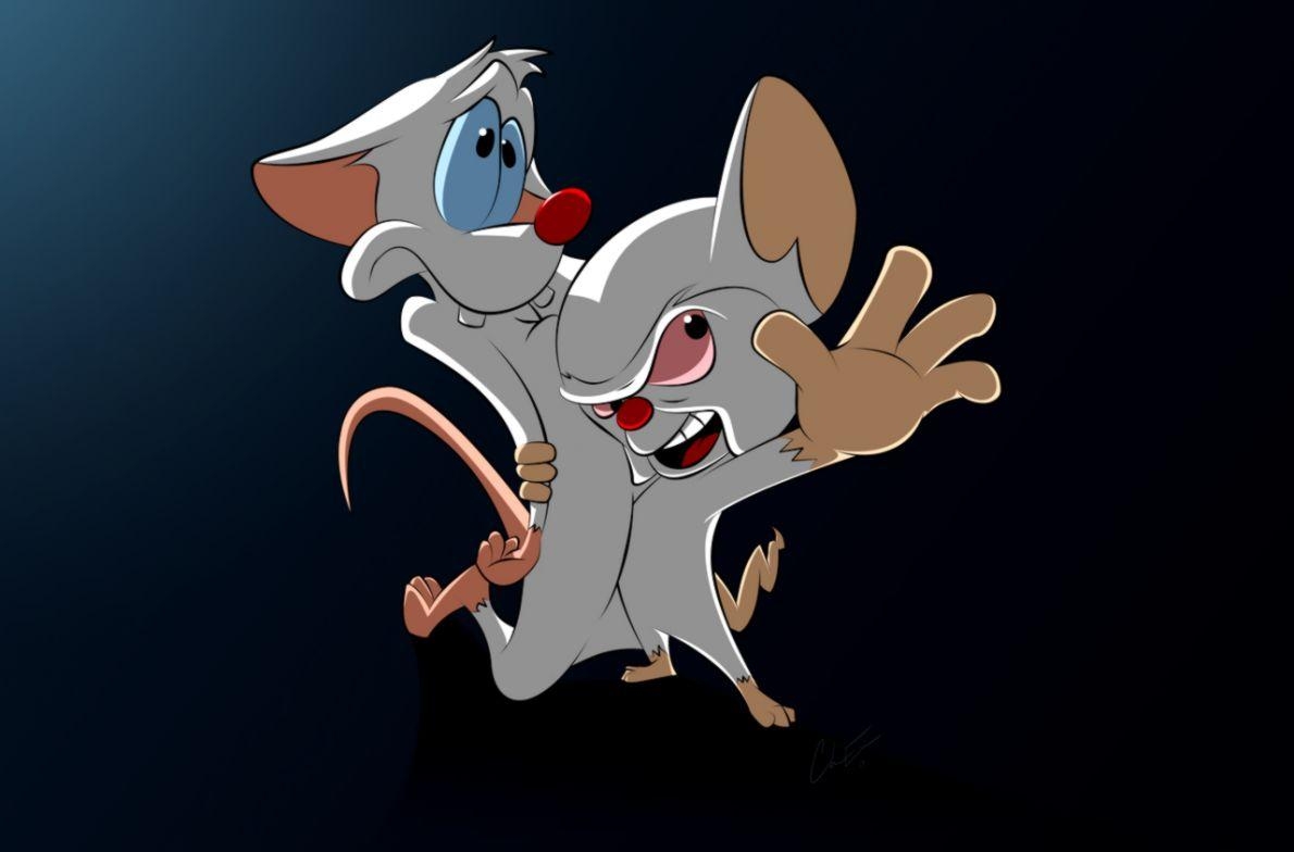 1190x790 Pinky And The Brain Wallpaper 15 X 784, Desktop