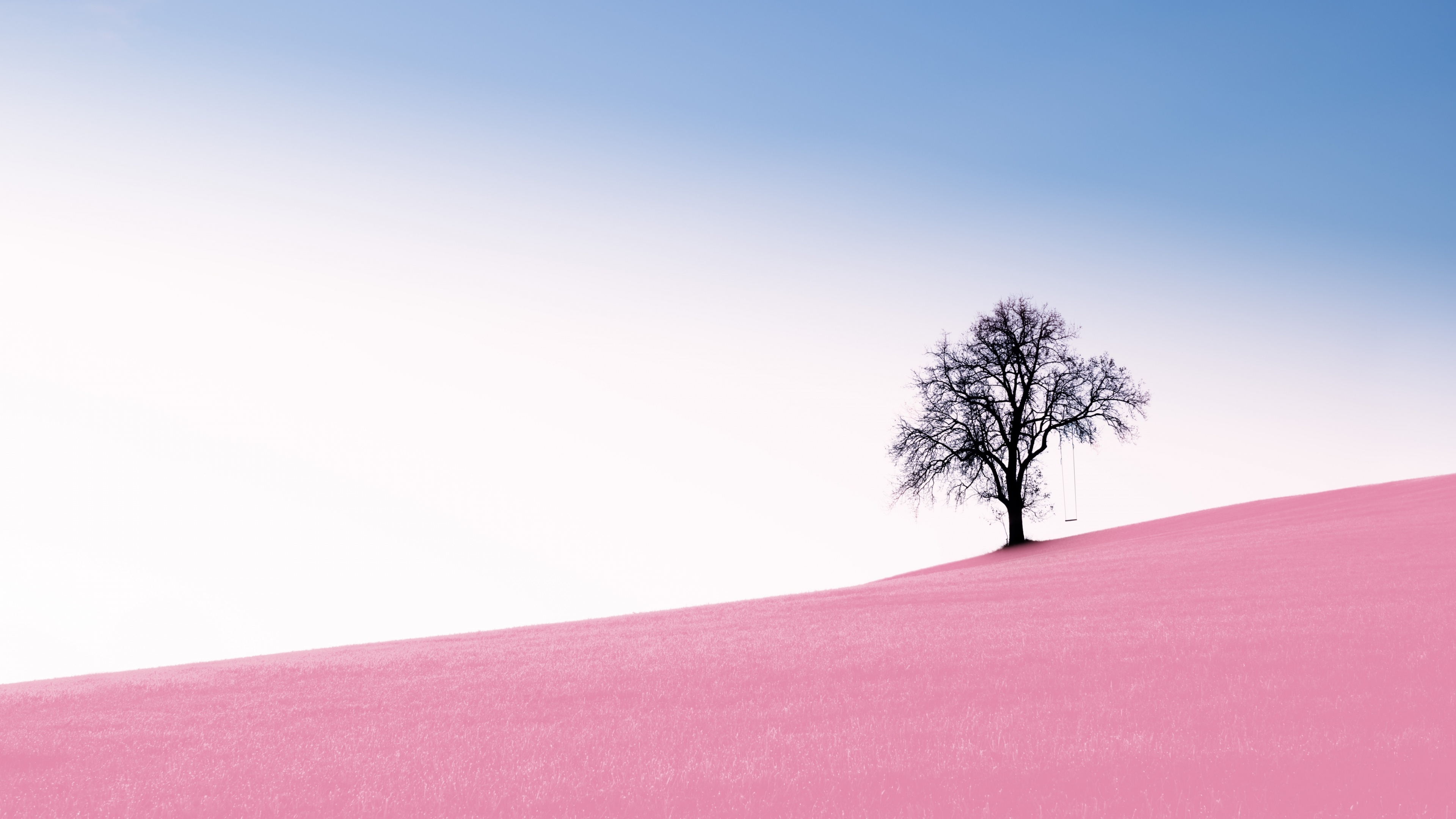 3840x2160 Solitude Tree Wallpaper 4K, Clear sky, Landscape, Surreal, Desktop