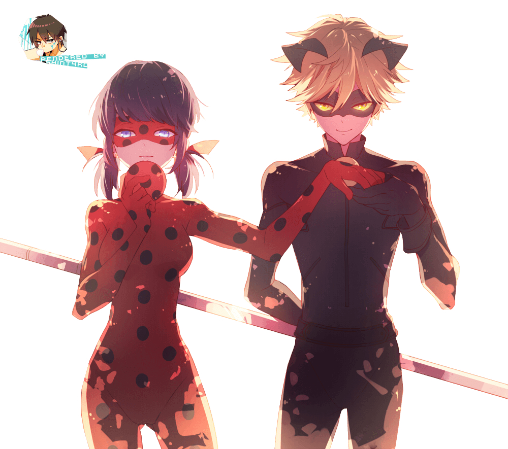 1000x890 Ladybug and Chat Noir Wallpaper, Desktop